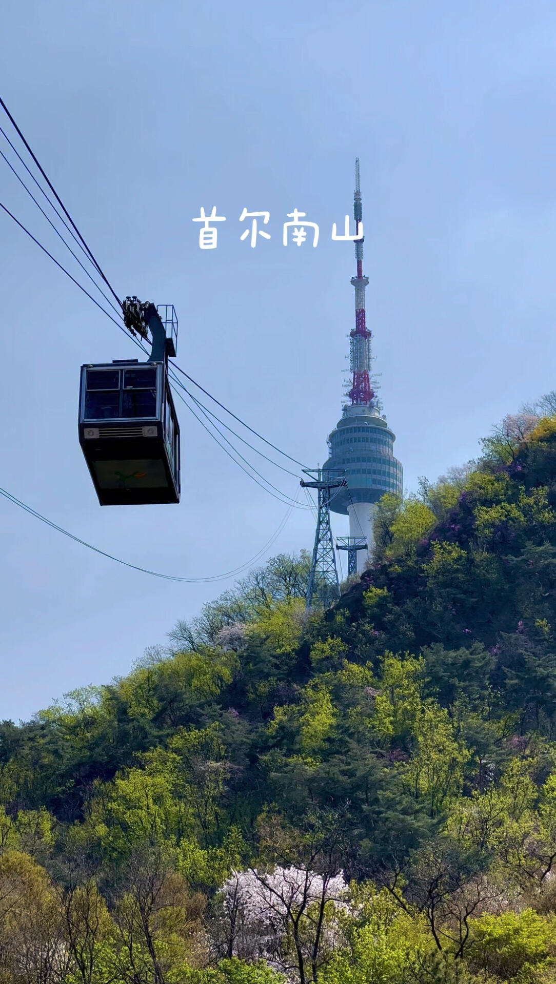 
                        星期天首爾南山??????南山環山路北側，是個完美的周末散步去處。這里不僅有著美麗的櫻花，還能一邊走一邊享受著藍天下的首爾南山塔美景。?????#韓國 #首爾 #韓國旅游 #首爾旅行 #首爾南山塔 #散步 #櫻花季 #藍天 #韓國南山塔 #星期天