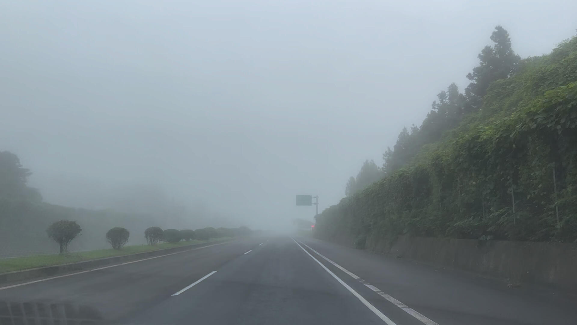 
                        ???梅雨季的濟州島之旅???暑期休假的西歸浦躺平之旅???梅雨季的濟州島如預料中一樣日常陰天??畢竟上個月就預報了今年七八月份雨水超級多??體感比八月份來好太多了，不熱就是有點潮濕??#濟州島旅行 #濟州島 #濟州島自由行 #西歸浦