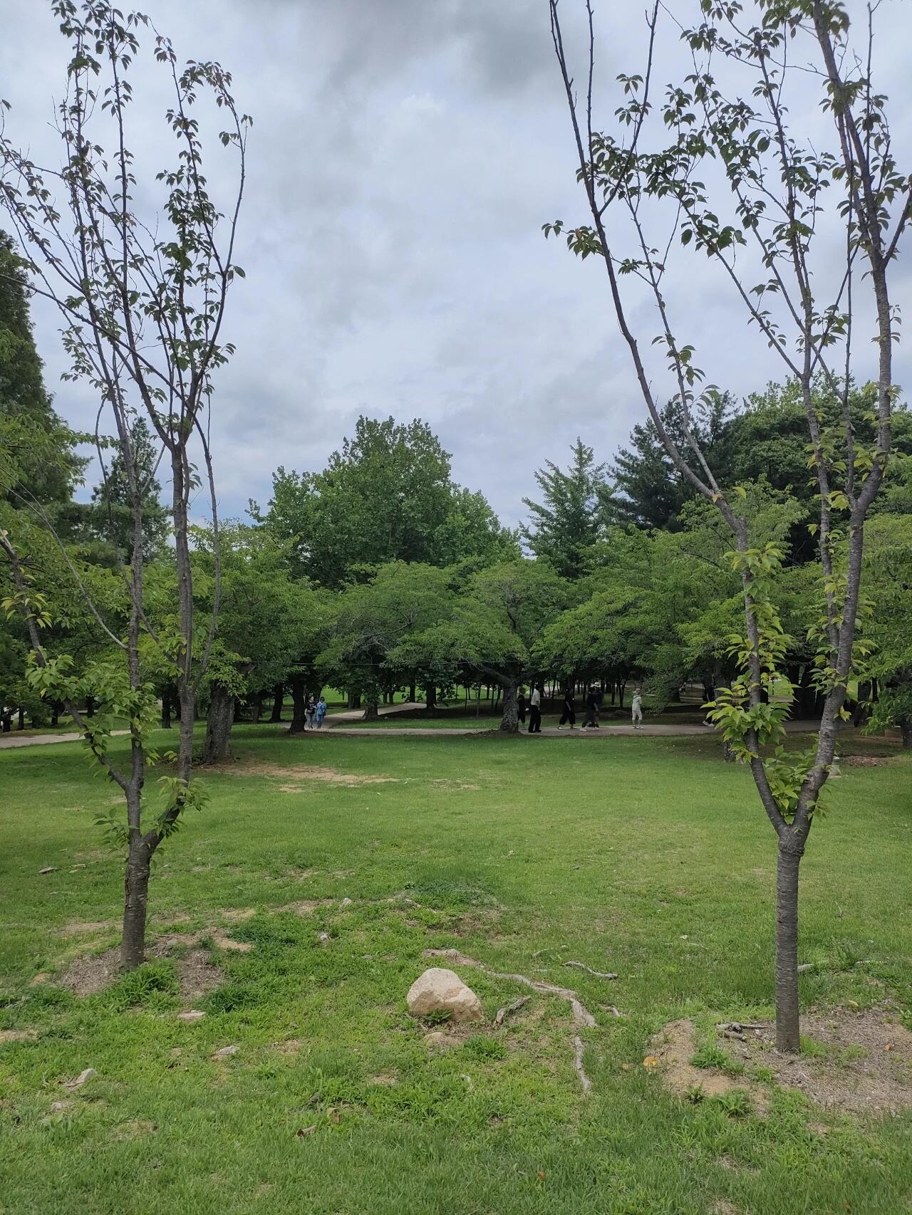 
                        ?探秘佛國寺?慶州佛國寺??被譽為韓國八大寺廟之首??歷史悠久，見證歲月沉淀??游人如織，熱鬧非凡????需購買門票入內???開啟韓國寺廟門票先河??若想深入了解，寺廟博物館等你探索（另需付費）??#韓國文化 #慶州旅行 #歷史遺跡?