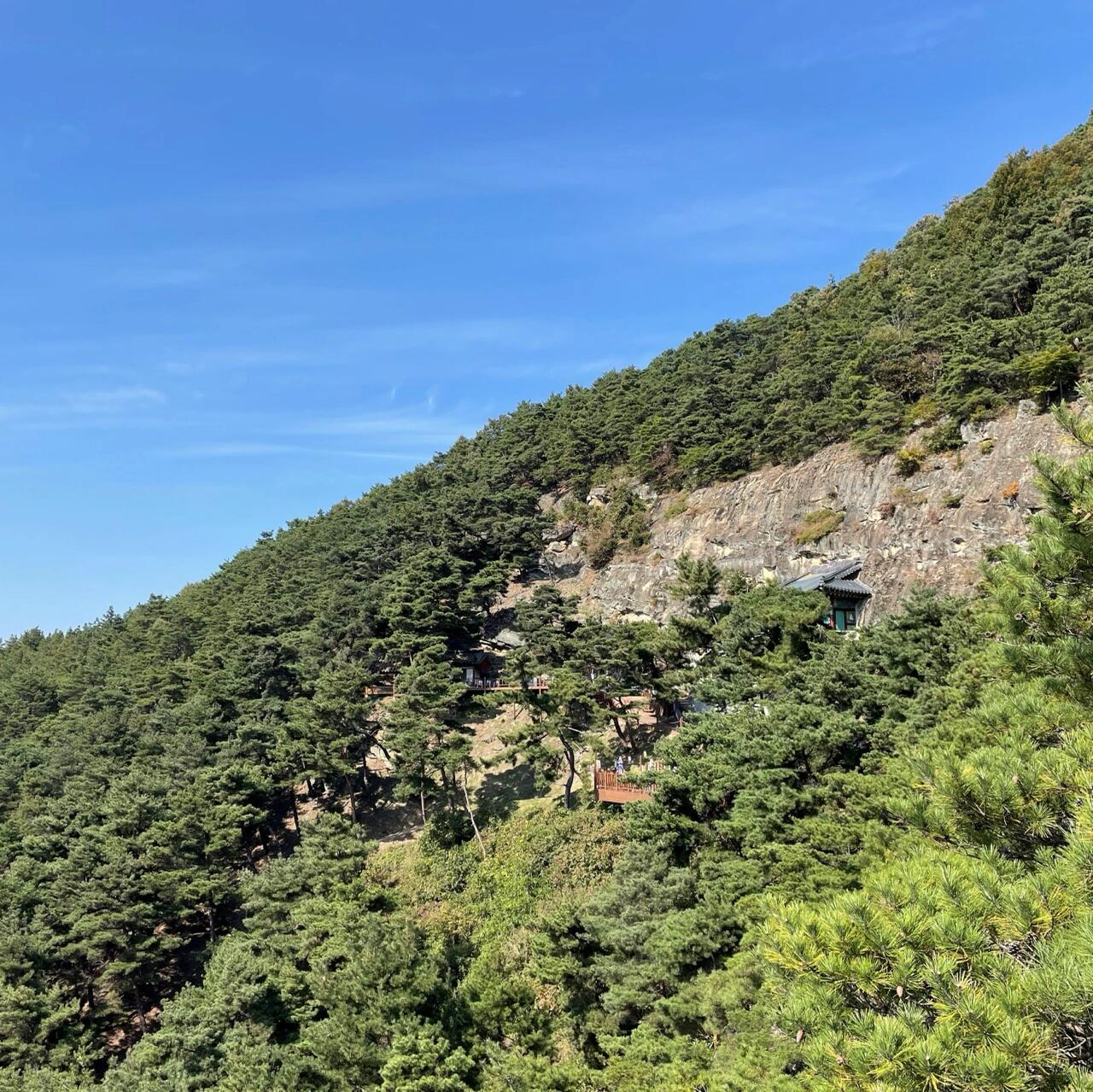 
                        ??在浪漫的寺廟里得到治愈【龜尾文殊寺】??探索慶尚北道龜尾市桃開面的龜尾文殊寺，這里曾是以自然石窟為法堂的納石寺，后改建為現在的寺廟。文殊寺周邊布置得非常雅致，是一個極具治愈效果的地方。??走出停車場，沿著樓梯上行，便可見到文殊寺的極樂寶殿。周圍盛開的菊花如畫般美麗，吸引眾多游客駐足欣賞和拍照留念。??在這里，你可以在秋風的輕撫下，坐下來休息，眺望文殊寺的全景，感受一份難得的心靈平靜。?? 龜尾文殊寺 (?????)慶尚北道龜尾市桃開面新谷4路186文殊寺 (???? ??? ??? ??4? 186 ???)??請在參觀時保持社交距離并佩戴口罩，確保大家的健康安全。#韓國 #韓國旅行 #韓國觀光 #韓國景點 #打卡 #文殊寺 #龜尾 #菊花 #寺廟 #秋季旅行 #拍照 #打卡圣地 #打卡熱點 #熱門 #慶尚北道