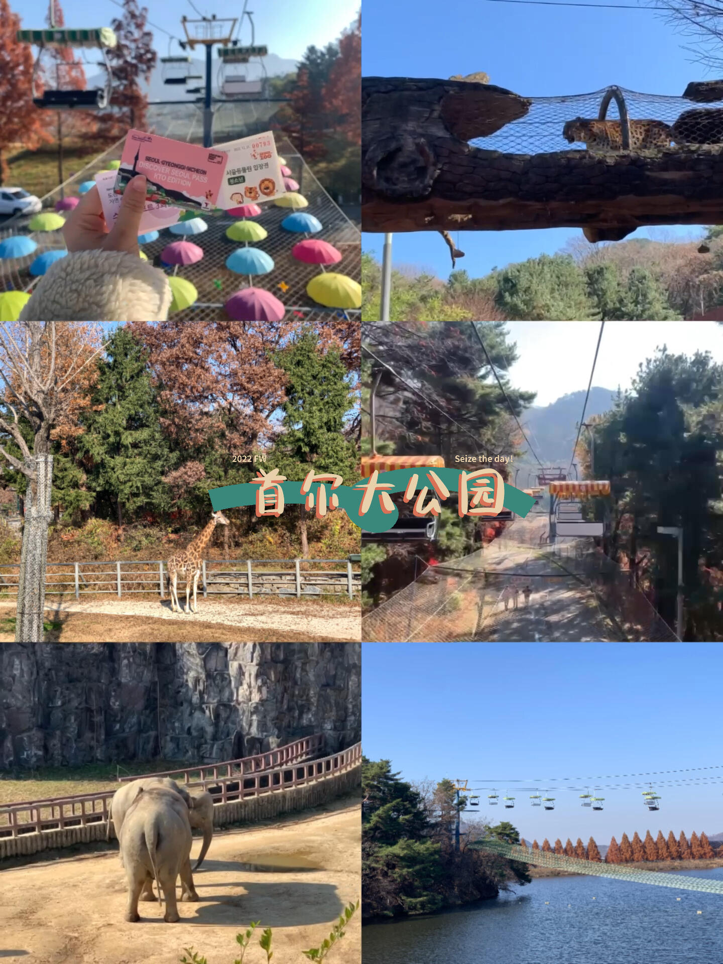 
                        韓國旅游/首爾轉(zhuǎn)轉(zhuǎn)卡24h攻略在首爾旅行一定要嘗試首爾轉(zhuǎn)轉(zhuǎn)卡哦！?? 它簡直是旅行的神器！快下載Discover Seoul Pass這個app，可以在線購買，然后直接在景點的售票處出示你的轉(zhuǎn)轉(zhuǎn)卡換取門票即可！工作人員都很熟悉轉(zhuǎn)轉(zhuǎn)卡，使用起來超級方便。???♀?我和朋友使用24小時轉(zhuǎn)轉(zhuǎn)卡的行程如下：10:30 在首爾大公園站集合，直走右轉(zhuǎn)就能看到??纜車換票處。用轉(zhuǎn)轉(zhuǎn)卡可以換取3次纜車乘坐票。第一次下車后直接到達動物園入口，換票進入。你可以選擇步行或繼續(xù)乘坐纜車。我們選擇直接坐纜車到終點再慢慢逛回來。動物園里的環(huán)境寬敞，有很多可愛的動物，整個游覽大約需要2小時。首爾大公園內(nèi)還有美術(shù)館，也值得一游！12:30 前往COEX水族館換票。這是一個比較小型的水族館，我們觀看了精彩的人魚表演。如果你對海洋生物不是特別感興趣，可能半小時就能游覽完畢。水族館下面有很多餐廳，正好可以吃個午飯。（順路會經(jīng)過星空圖書館）2:00 前往蠶市樂天世界，體驗了兩個項目。我們邊玩邊吃邊拍照，大約五點就離開了。如果你喜歡，可以等到天黑時觀看??主題燈光秀。出來后可以順便去旁邊的Seoul Sky換票，坐觀光電梯上到123層。之前我買票上去過，但如果是霧霾天可能什么也看不清。不過，既然轉(zhuǎn)轉(zhuǎn)卡是免費的，不妨上去看看。8:00 前往南山塔瞭望臺換票（注意：轉(zhuǎn)轉(zhuǎn)卡不包括南山塔的纜車票，只包括瞭望臺門票）。本來還想坐觀光??的，但下午和朋友吃飯聊天后改變了計劃。紅色夜間觀光巴士是從光化門出發(fā)的，別走錯了哦～??強烈推薦這張旅游卡！雖然有些景點可能不太吸引人，但有了這張卡，你可以低成本嘗試，如果覺得不有趣可以隨時離開，一點也不浪費。我們一天的景點門票加起來至少需要10萬韓幣，用這張卡就能輕松回本，非常劃算！特別適合像我這樣喜歡走馬觀花、到處看一看的旅行者！#首爾旅游 #首爾轉(zhuǎn)轉(zhuǎn)卡 #樂天世界 #COEX水族館 #首爾大公園 #樂天世界塔