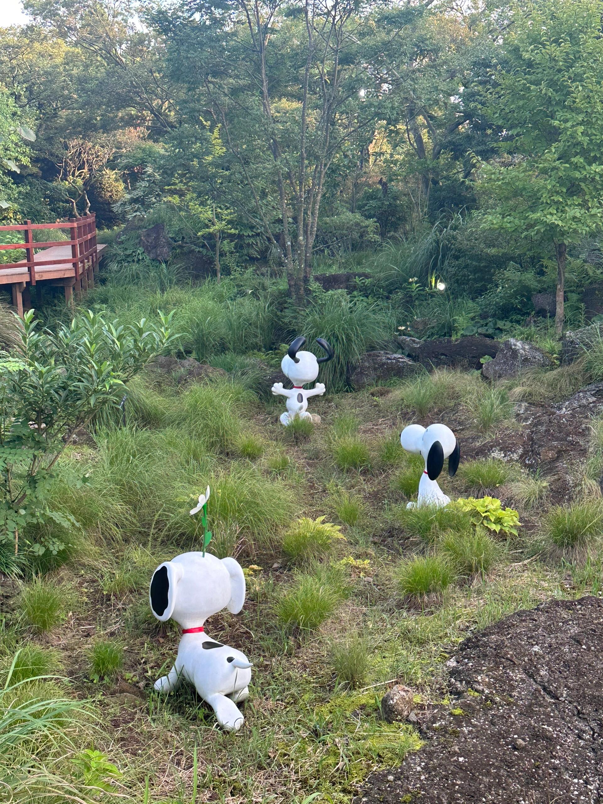 
                        Jeju濟州島?????? | 必去與避開清單濟州島7天6晚的旅程圓滿落幕啦！作為一個行動派，我嘗試了不少地方，來給大家做個攻略吧！????1?? 必游景點????????必去：①?????涉地可支 - 五星推薦！這里有山??、海???、草地???和藍天??的完美結(jié)合，簡直是我的心頭好！時間緊張的朋友可以跳過城山日出峰，直接來這里就夠啦（記得規(guī)劃返程時間和交通方式哦，因為打車可能不太方便）。②?? 牛島 - 四星推薦！島上景點眾多，玩法多樣，可以體驗游艇?、騎馬??、品嘗特色冰淇淋??和炸醬面??等（別忘了做好防曬，還有查清楚大巴路線和回程游艇時間）。③?????月汀里 - 五星推薦！超美的果凍海???，拍照必備！如果時間不多，可以只來這里，周圍還有很多咖啡店可以休息～。④?????Snoopy garden - 五星推薦！這里到處都是可愛的元素??，還可以沿著路線收集印章，集齊可以獲得小徽章哦！不推薦：彩虹公路（太普通了）、山茶花之丘（花期已過）、南線西歸浦（有點無聊）。2?? 必打卡探店/購物熱點必逛：①?????小狗咖啡店??cafe layered - 雖然人多，但拍照效果超棒，蛋糕也很可愛，王嘉爾都來過這里呢?????。②Gamttanam_cafe 橘子園?? - 橘子園拍照很美，但飲品一般，位置稍微有點偏。③slow boat?? - 設(shè)計感十足的咖啡店，每個角落都超好拍～這里的咖啡屋是我在jeju覺得最美的。二樓的小陽臺上，吹海風(fēng)聊天，超級chill。④Hey jeju?? - 買伴手禮的好去處，市區(qū)內(nèi)，離機場近，商品種類多，價格也合理！⑤樂天免稅店??? - 原本是給姐姐買ADLV T恤的，結(jié)果自己也買了不少，四件T恤不到800…國內(nèi)一件就要500左右。一般：① ??Haru film - 涯月邑的網(wǎng)紅咖啡店，普普通通，連路邊的標(biāo)志我都沒拍（感覺太擺拍了）。店內(nèi)可以拍大頭貼，可以試試。②??Oliver young - 有韓國本土的護膚化妝品，本想最后一天在市區(qū)買，但熱門產(chǎn)品都沒貨了…（建議去市中心以外的店鋪逛逛）。避雷：① ??Moumoon咖啡館 - 店員態(tài)度不佳…??一杯拿鐵加兩個面包差不多200rmb ??，而且用的是植物奶油。如果只是想找個地方休息還可以。#濟州島 #韓國旅行 #濟州島景點 #jeju #旅游心得 #濟州島咖啡店 #日常分享 #濟州島購物