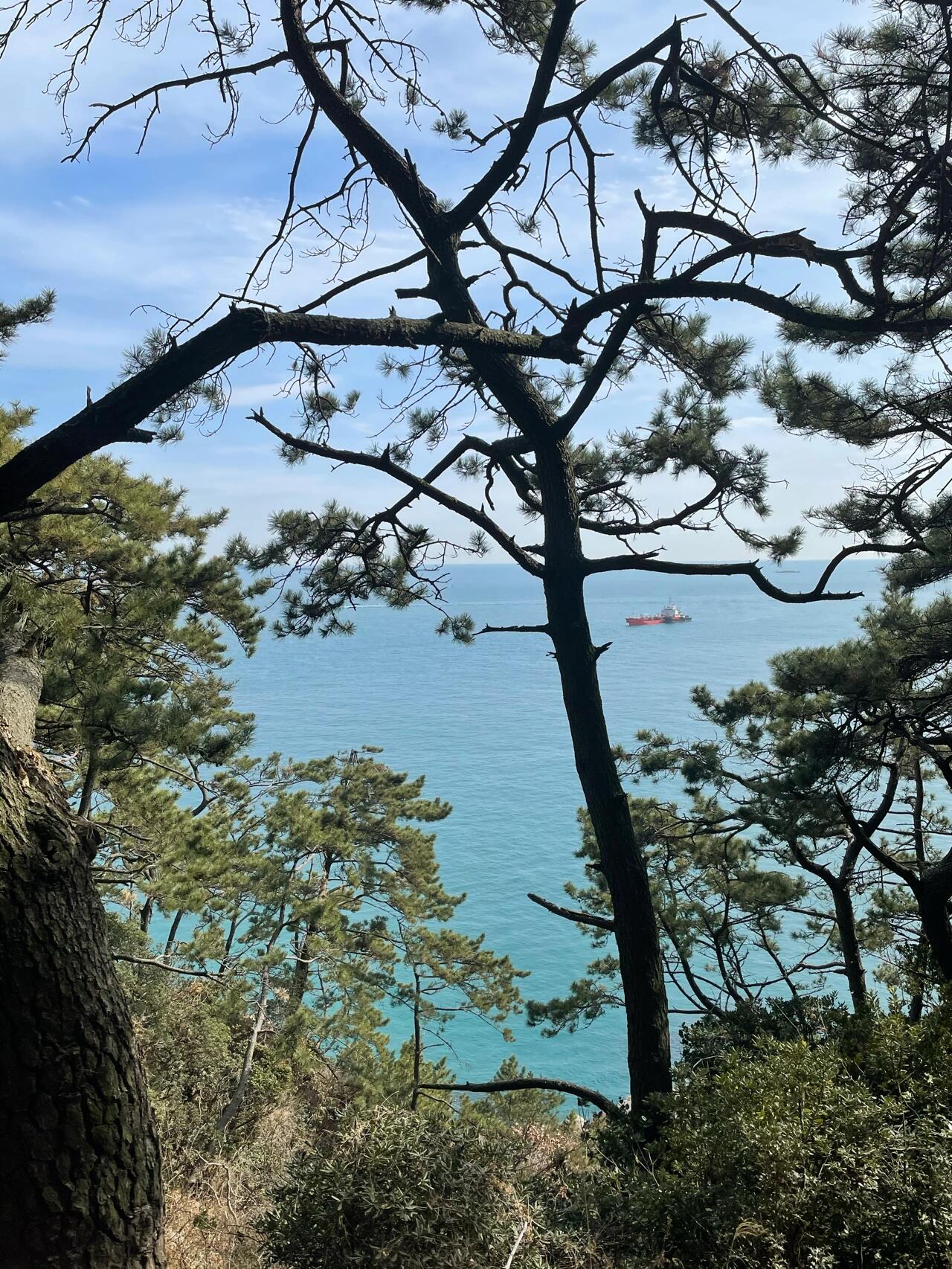 
                        ????♀?釜山大學附近健身好去處???♀?開學季到啦，新學期新氣象！??旅游回來感覺自己圓潤了不少，是時候找個地方燃燒掉這些小肉肉了！??在釜山大學周邊，有沒有什么好的健身房或者普拉提工作室推薦呢？???♀?如果有女性專屬的健身場所就更加完美了！??另外，如果大家有知道價位信息，也請一并告訴我吧！??#健身 #一起普拉提 #健身房打卡 #釜山大學 #釜山攻略 #釜山留學