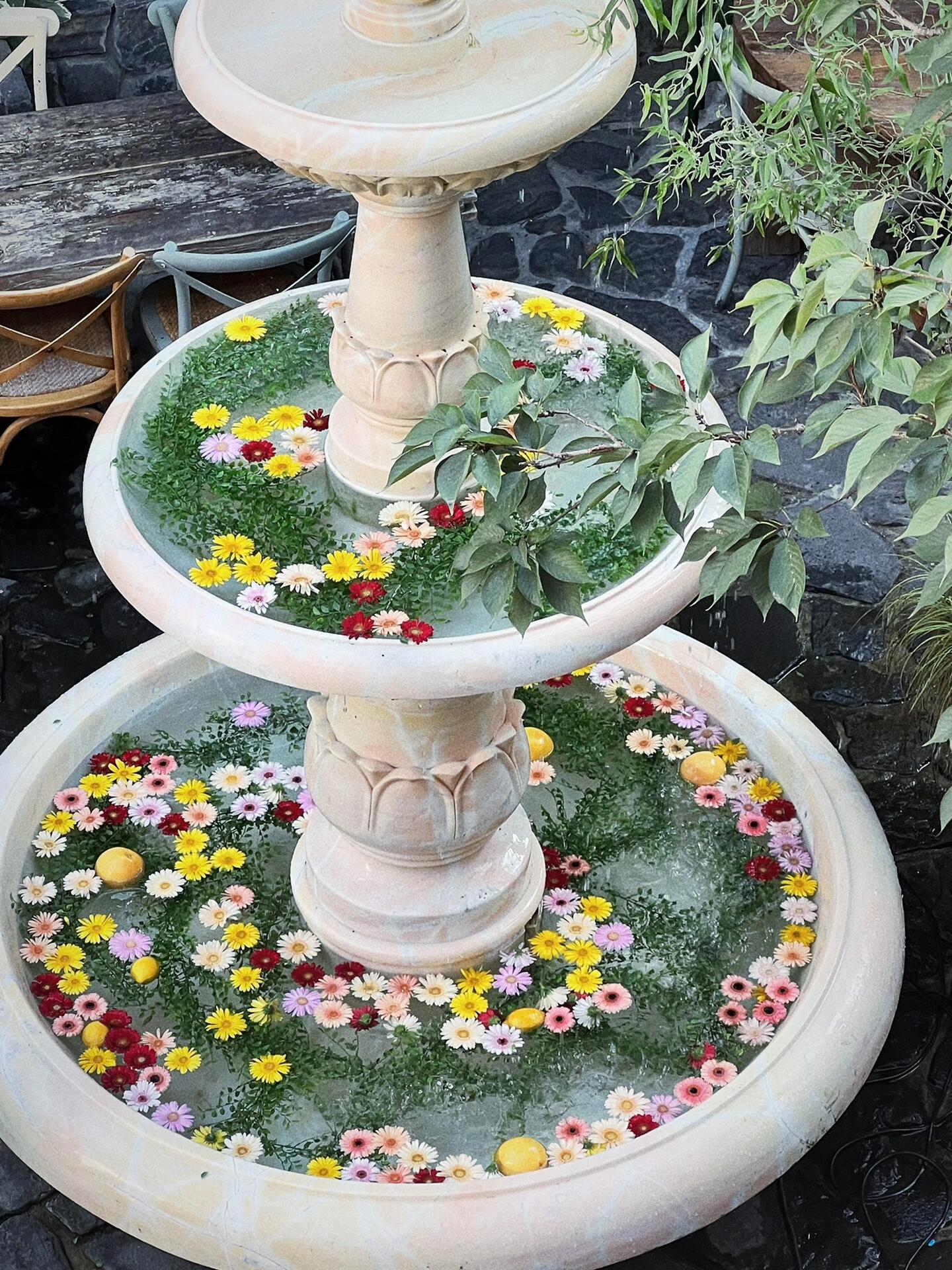 
                        ????留學｜狎歐亭 花園噴泉咖啡廳 ????這家超美的咖啡廳就位于我們之前提到的DK貝果店附近哦，是一棟兩層的獨立建筑，超級推薦因為美食不停????！他們提供的下午茶、正餐和酒水都非常贊，我們嘗試了法式烤吐司搭配椰蓉外殼，美味又不油膩！我們選擇在周五下午前往，那時候人不多，他們有預約等待機制，可以現場排隊預約座位，一旦有空位就可以立即入座。需要注意的是，如果坐在戶外區域，除了飲料還需要點一些食物哦。而且這里的環境超級美????！第一張圖是我們從二樓拍攝的噴泉，真的超級適合拍照，很多人都在這里排隊拍照呢！非常適合和閨蜜來這里享受一個悠閑的下午茶時光，不過可能不太適合帶男友來，因為我們看到好幾對因為拍照拍不好而互相埋怨的情侶??。地址：?? ??? ????42? 42#留學韓國 #韓國生活 #高顏值咖啡館推薦 #COTD咖啡探店 #探店 #狎鷗亭探店 #狎鷗亭咖啡廳 #韓國狎鷗亭 #狎鷗亭羅德奧