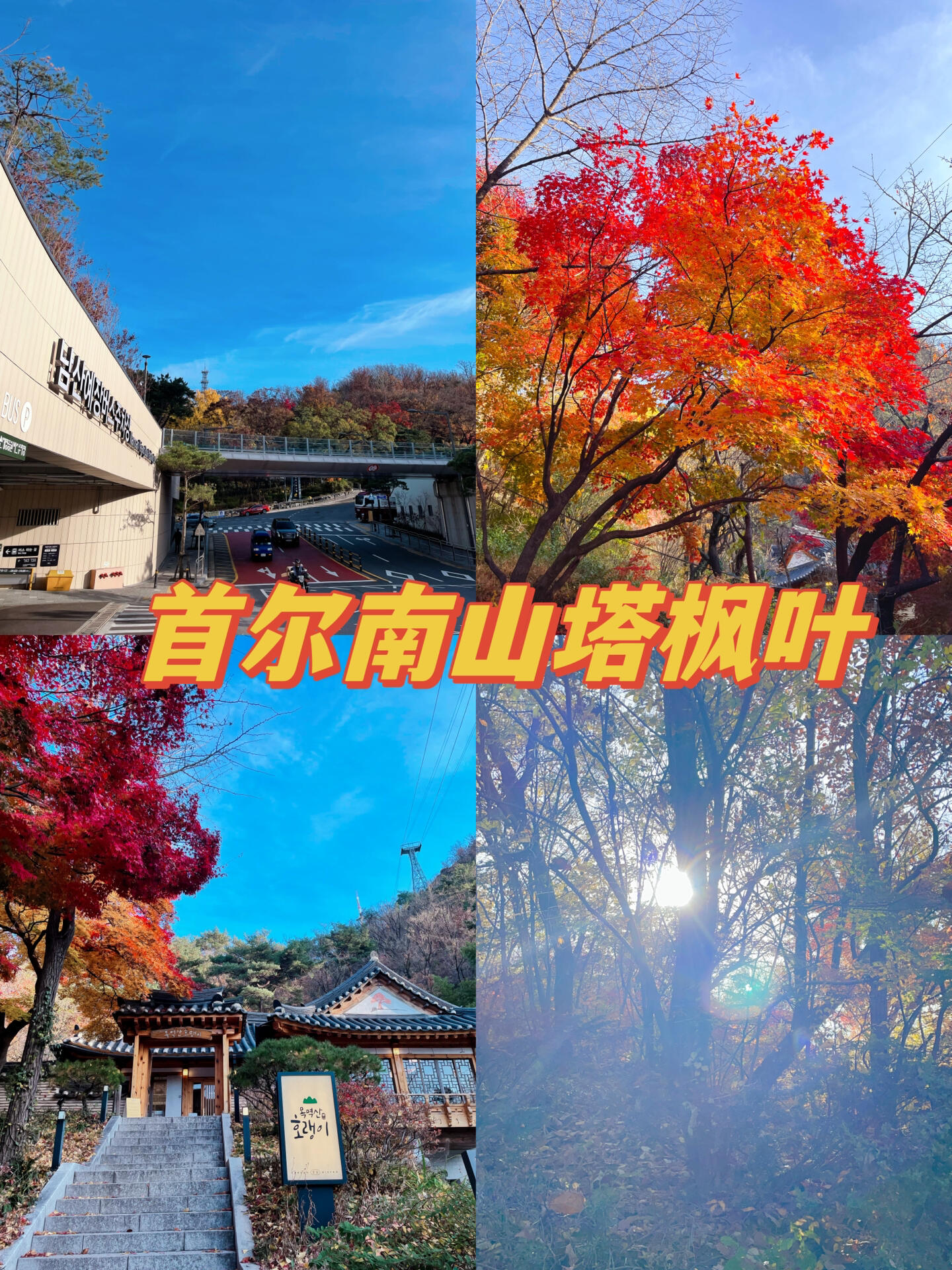 
                        韓國????vlog｜漫步于首爾南山塔腳下賞秋??聽說今年首爾的楓葉變色的比往年慢一些～沒錯！現在去南山塔腳下的林蔭路還能看到很美的風景～??最近天氣越來越變冷啦！大家想去看的抓緊哦#韓國生活 #韓國vlog #首爾生活 #首爾旅行 #韓國首爾 #首爾南山塔 #韓國南山塔 #楓葉 #韓國楓葉時節 #韓國楓葉 #韓國的秋天 #韓國秋天之旅
