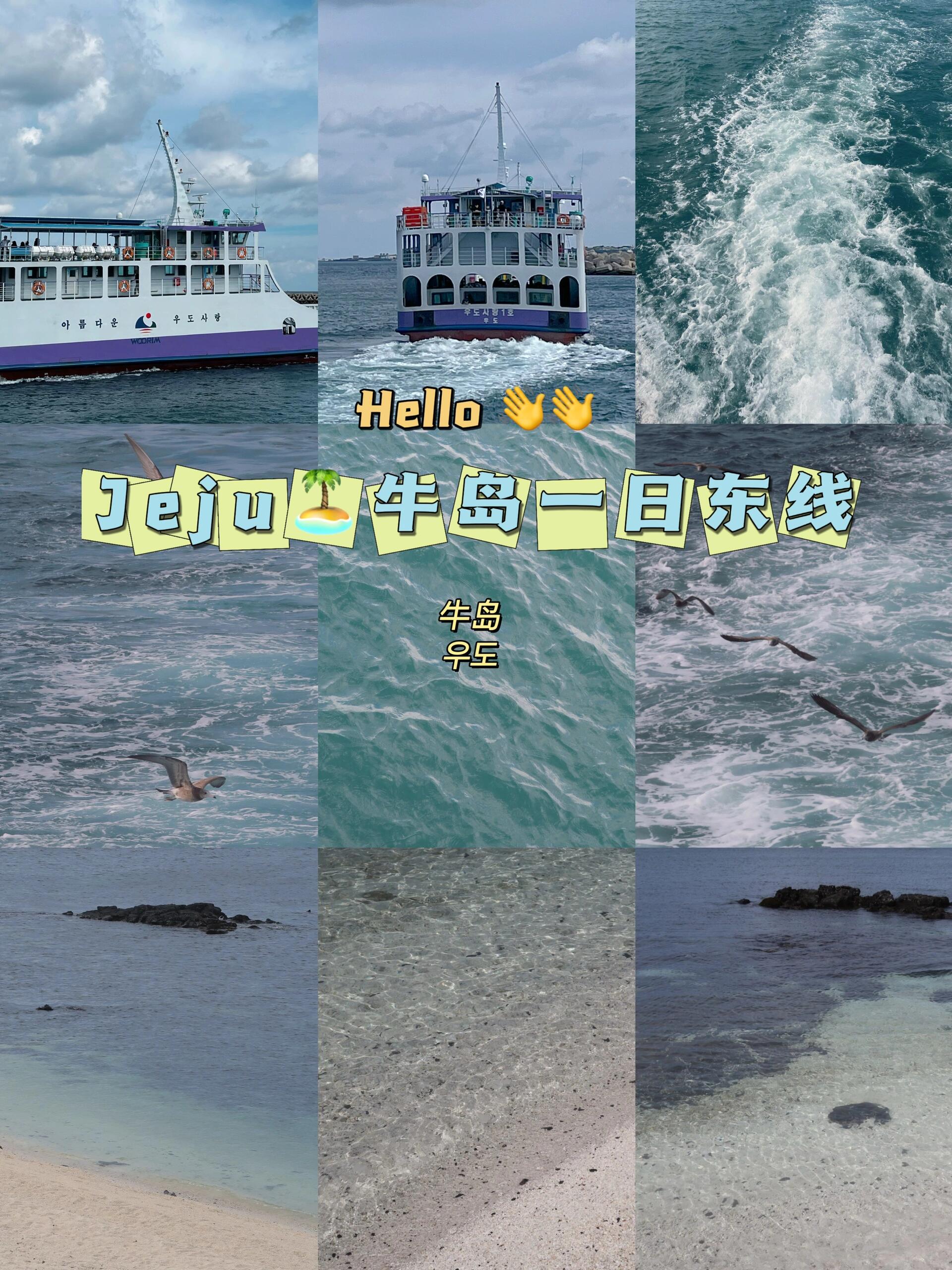
                        濟州Jeju???｜特種兵Day3東線探險牛島一日游??行程安排：牛島-城山日出峰-涉地可支-月汀里??提前預定好的一日游套餐（價格168元），早晨7:50從酒店出發，晚上大約19點在新羅免稅店結束行程。全程乘坐大巴車，有導游全程陪同（包含導游費用、上島交通費和牛島門票，共計2.8萬韓幣，約合人民幣160元）。導游會講中文，講解詳細，沒有額外消費誘導，還會幫忙拍照留念哦！上島的票務也會一手包辦，無需自行排隊購票，超級方便！-1??牛島牛島的美，簡直無法用言語形容，坐船去的路上能看到海鷗群飛，是難忘的記憶！回程時在二層客艙休息，感覺非常舒適，人生體驗再加分！看到那果凍般的海水，還有城山日出峰的美景，仿佛看到了躺著的犀牛，真的太美了！（還有一家咖啡廳，鋪著草坪，景色美得讓人心動）2??城山日出峰可以選擇付費爬山，門票5000韓幣（不到人民幣30元），大概需要一個小時左右來回，海拔并不高。或者可以選擇左邊的免費觀光路線。到達山頂，你會看到一個火山口，景色絕美，讓人心動不已！（遇到好天氣就是加分項！）3??涉地可支說實話，那里有點荒涼，加上當時天氣轉陰，海風很大，剛爬完山，感覺非常累。所以只是簡單拍了幾張照片，就回到車上休息去了。4??月汀里月汀里的美景真的讓人難以忘懷，可惜當天風實在太大，吹得人頭疼（風里還帶著沙子）。但即便如此，還是看到了那迷人的果凍海和許多沖浪愛好者。還打卡了moumoon咖啡廳和餅干店，moumoon的美景讓人一見傾心，電梯門一開，就被那驚艷的景色深深吸引。-#濟州島旅行 #韓國牛島 #城山日出峰 #涉地可支 #月汀里 #月汀里Moumoon #果凍海 ?????♀??
