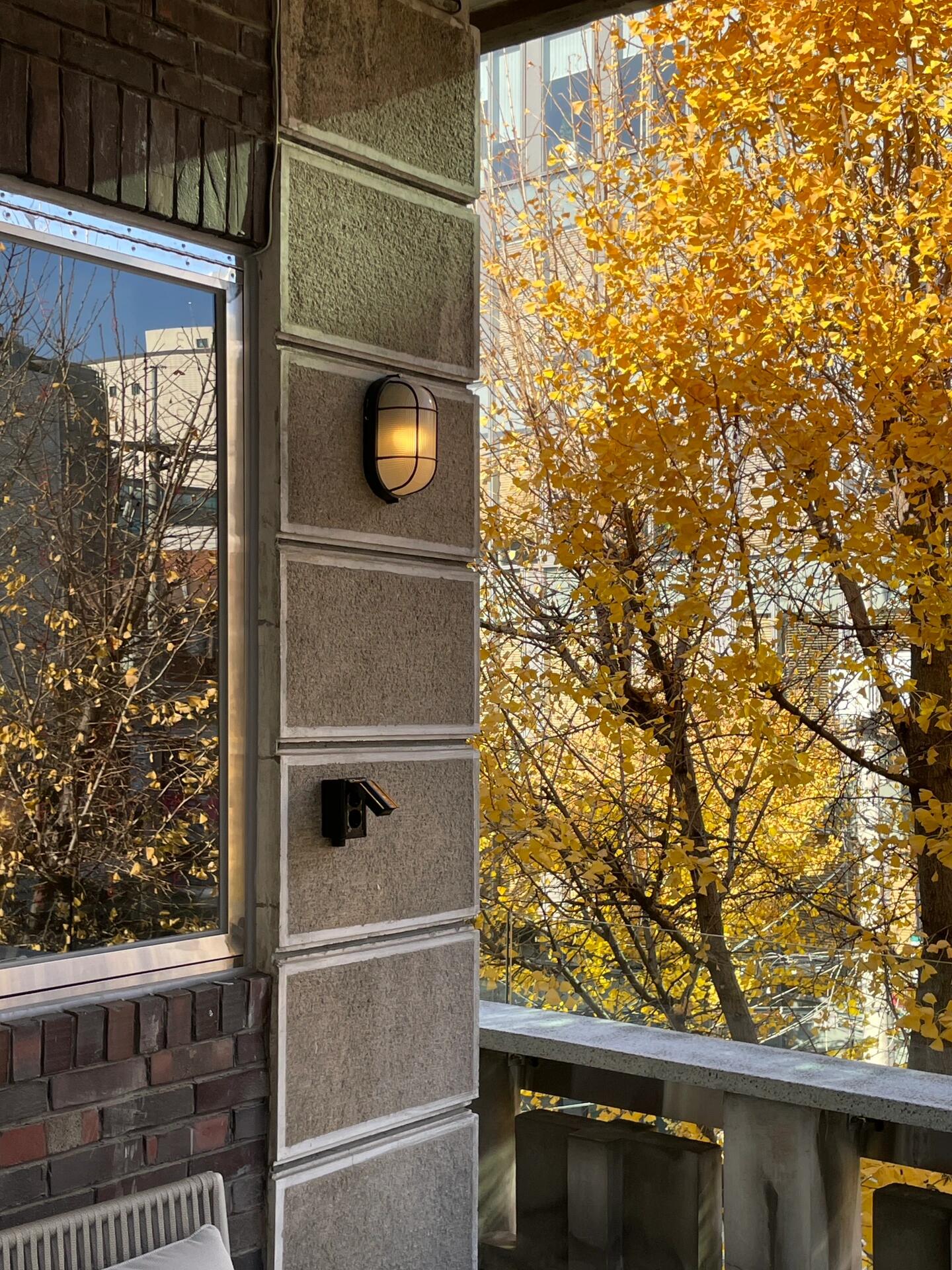 
                        ??首爾的秋天｜黃金般的秋日專屬美景10月的????首爾迎來了秋天的絕美景色雖然沒有一片金黃，但那份如韓劇般的溫柔與浪漫??絕對是首爾的獨特魅力！我之前分享的賞秋地點清單又新增了幾個不可錯過的地方！-??圖1～4 三清洞?? ??? ??? 61這里將傳統韓屋與現代歐式風格巧妙結合金黃色的銀杏葉在空中飄舞，手里捧著熱咖啡漫步街頭仿佛與秋天有了一場美麗的邂逅！??圖5～7 龍山公園?? ??? ???4? 14是許多攝影愛好者和網紅博主的心頭好曾是美軍基地的這里，秋天呈現出獨特的美式風情??圖8～11 新村銀杏路??? 5??? ?如果你的行程安排在弘大附近，不妨走到新村站5號出口逛逛觀察匆忙上下學的學生們享受被秋色裝點的交叉路口??圖12～15 ????63?? ??? ???? 63 1? 2? 3? 4? ??位于麻浦區的一家四層獨立咖啡館，在二樓和三樓可以與銀杏葉近距離接觸！每一次的照片都讓我驚艷不已??-隨著9月末的到來，我開始期待今年的秋天將會展開怎樣的故事8??～#用一張圖形容秋天 #筆記靈感 #秋天來了 #出門踏秋去 #韓國生活 #韓國旅行 #周末去哪兒 #COTD咖啡探店 #首爾探店 #我的咖啡日記 #本地人去哪玩 #我眼中的秋天 #韓國日常