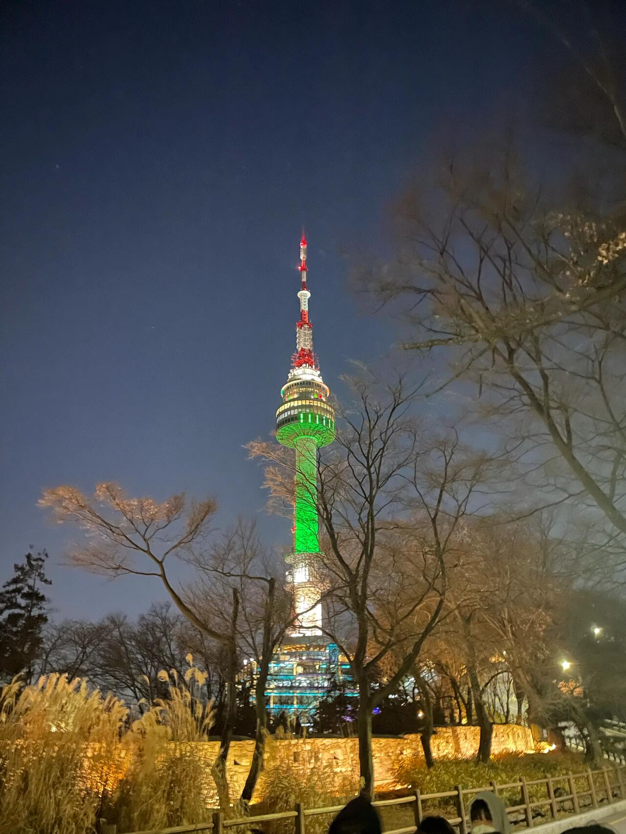 
                        ????首爾/南山塔-14度，真的被凍傻了??#首爾南山塔 #韓國旅行 #南山塔 #冬季旅游
