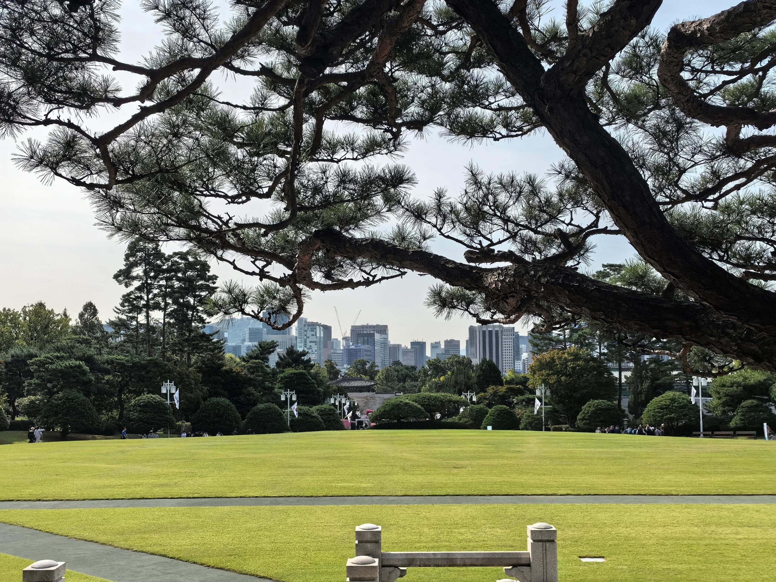 
                        探秘首爾青瓦臺?首爾青瓦臺，這座見證了韓國政治風云變幻的歷史建筑，曾是歷任韓國總統(tǒng)的辦公宮殿。??? 傳說中，這里隱藏著不為人知的秘密，從刺殺到跳崖，再到身陷囹圄，韓國總統(tǒng)們似乎鮮有寧靜的晚年。??隨著尹錫悅總統(tǒng)的搬遷，青瓦臺的神秘面紗逐漸揭開。有人猜測，或許是古老的風水之說讓新總統(tǒng)選擇了別處。?? 自去年五月起，青瓦臺向公眾敞開大門，游客們需提前預約，才能一窺總統(tǒng)辦公的秘密所在。漫步在青瓦臺的庭院里，你會發(fā)現(xiàn)這里與鄰近的景福宮有著異曲同工之妙，烏鴉在頭頂盤旋，似乎在訴說著過往的故事。?? 游客們的私語和烏鴉的鳴叫聲交織在一起，營造出一種別樣的氛圍。而當初秋的微風拂過，那份寂寥與惆悵便在心間悄然鋪開...#青瓦臺 #首爾 #首爾旅游 #韓國 ????????