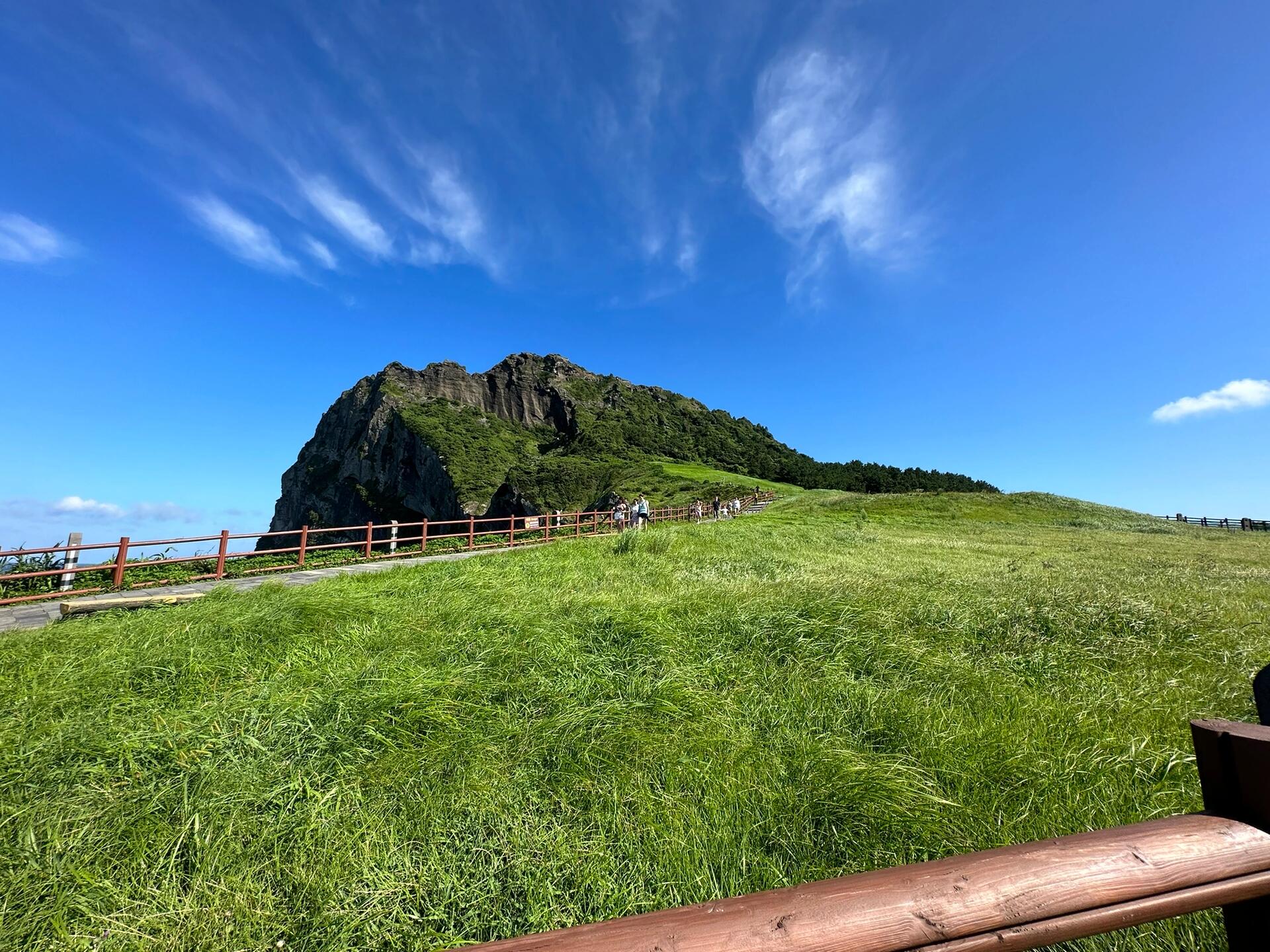 
                        濟州島出游 Day3 擺爛日#濟州島 #涉地可支 #城山日出峰在濟州島的最后一天，本來安排得滿滿當當，但因為前兩天去了太多有意思的咖啡廳，今天決定不再去海邊咖啡廳了。早上10點多在門口喝了個晴王冰沙，吃了panini，寄存了行李后，我們打車去了涉地可支。涉地可支的景色和前兩天去過的海邊完全不同，主要是看懸崖、海浪和草地。打車途中就能看到碧藍的海浪，我感覺光看海浪就能看一天。涉地可支并不難爬，一邊看風景一邊走，很快就能到燈塔和glass house。Glass house外觀并不壯觀，本打算在二樓的The Mint餐廳吃飯，但被差評勸退了，于是我們在一樓咖啡廳喝了咖啡。咖啡廳旁邊還有一個glass studio，看起來是給小朋友做手工的，提供海洋玻璃，教小朋友做工藝品。店里還有不少有意思的旅游紀念品，尤其是彩色玻璃掛件，一排小??掛在海景窗邊，特別好看。坐了一陣太陽又出來了，想了想我們還是放棄去牛島挨曬，于是從地圖找了一家評價不錯的烤肉店直接去吃午餐。烤肉店剛好在涉地可支和城山日出峰之間，餐廳9萬8的3-4人家庭餐份量十足，是這次旅行中吃得最滿足的一餐。吃完我們繼續(xù)往城山日出峰出發(fā)，一到山下毒辣的太陽又把我們勸退了，走了免費的步道下到海灘草草看了下就回城了。對了，大部分濟州島海灘上都有海蟑螂，本島民第一次見，還挺興奮，但怕蟲子的朋友們要小心，謹慎靠近海灘。今天的躺平之旅結束得比較早，我們終于可以回城逛逛新羅免稅店。沒想到雖然人家6點關門，很多店5點半就不結算了，好在我們也沒啥特別想買的，也就打發(fā)個時間。回到機場，把身上的韓元換回美金，我大呼巨虧。落地時用200美元換了一堆韓元，基本上沒用上，離開時換回美元就只剩下120多美元了。韓國大部分店鋪，包括打車都可以刷Visa，韓元建議換個10萬就可以了，沒必要換太多。另外我用Master處處碰壁，大家記得一定要帶Visa。