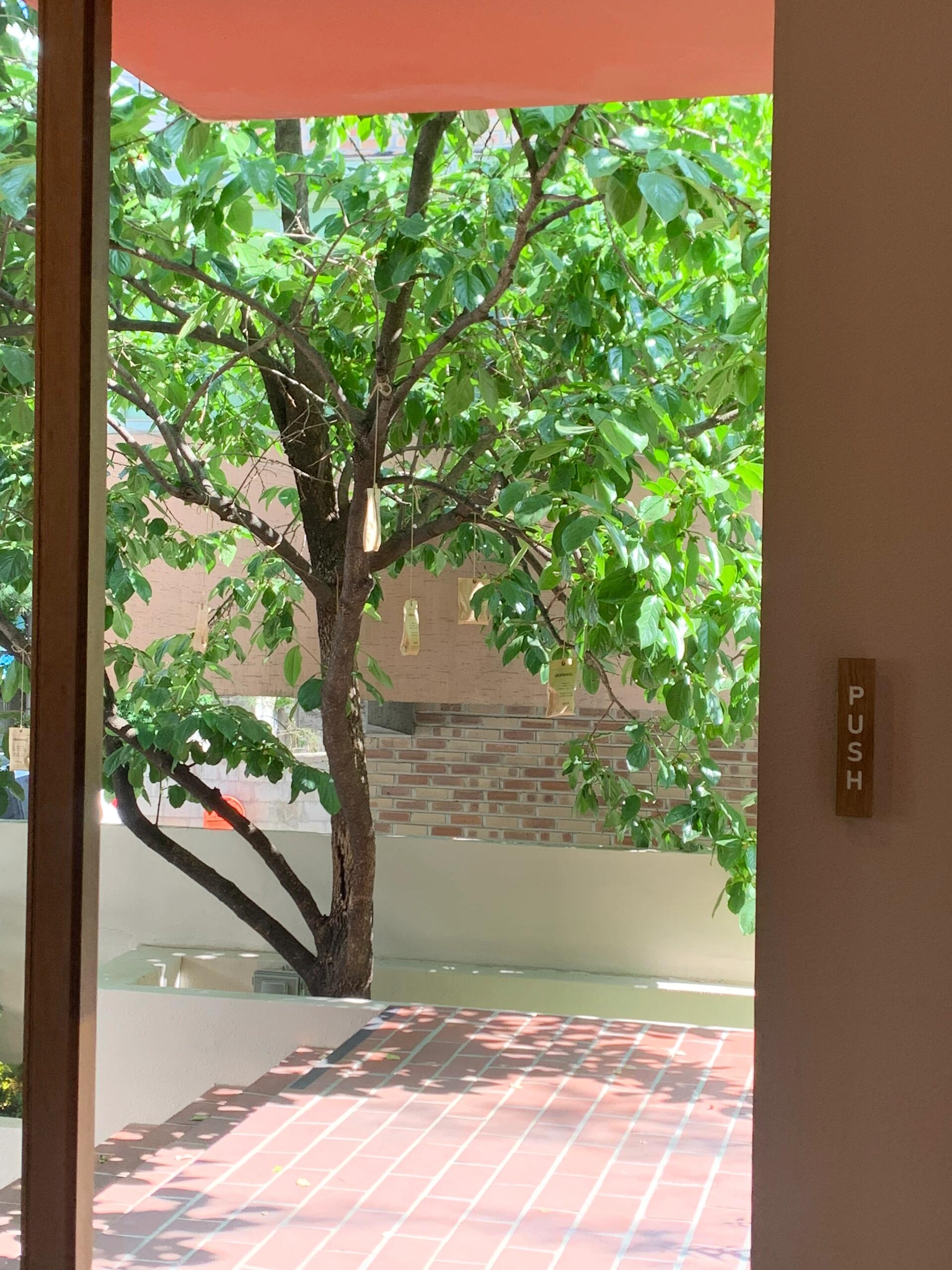 
                        ??探秘首爾景福宮的美妙之旅?首爾的探店之旅簡直不能更棒了！各個店鋪都近在咫尺，輕松漫步就能逛遍。按照探店路線，首先是hai，這里的美景簡直讓人心醉??，接著是ofr，運氣好到碰上了新貨上架，哈哈哈??。然后是nest，他們家的南瓜茶真是一絕，喝了讓人心情大好??。最后是granhand，店員的服務態(tài)度真的是無可挑剔，點贊????。當然，我自帶的酸奶也是旅途中的小確幸，超級好喝哦～??#首爾探店 #韓國探店