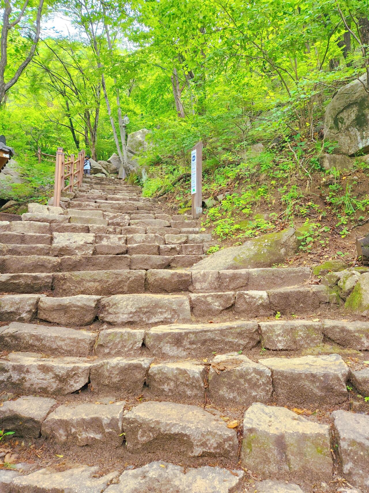 
                        大邱八公山端午登山今天閑來無事整理照片發出去?? #韓國旅游 #韓國登山 #大邱 #大邱旅游