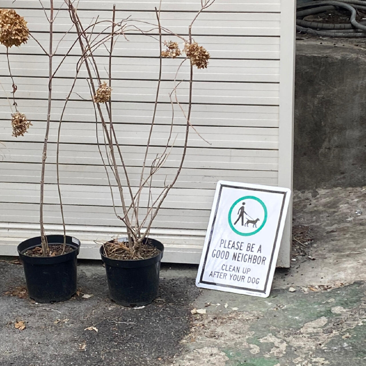 
                        探秘漢南洞hitcoffee咖啡館??走出漢江鎮站3號口，僅需五分鐘就能抵達這家風格獨特的咖啡館。無論是室內溫馨的座位還是戶外清新的環境，都讓人感到舒適自在。??在這里，你可以自選咖啡豆，品嘗到每一杯精心煮制的咖啡。? 我們嘗試了幾款甜品，每一款都讓人回味無窮。特別是草莓蛋糕，甚至讓隔壁桌的客人看了也忍不住跟著點了一份！??別忘了嘗試他們家的布丁，外形超級可愛，味道也是duangduang的好吃！??總的來說，這是一家值得一試的咖啡館，無論是味道還是環境都讓人滿意。推薦給大家！??#漢南洞 #漢南洞咖啡 #漢南洞探店 #韓國漢南洞