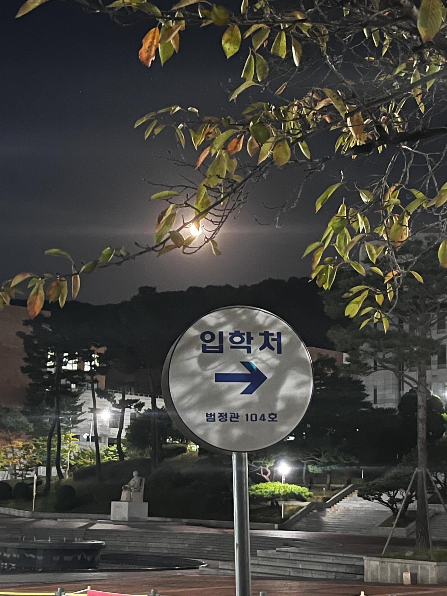 
                        在韓國(guó)的第三十五天，今天在明洞玩得超開心來(lái)到韓國(guó)已經(jīng)第三十五天啦！今天又出去玩了，和一個(gè)之前在國(guó)內(nèi)聯(lián)系的姐妹一起在明洞逛街?？赡苁且?yàn)閲?guó)慶節(jié)的緣故，隔三差五就能聽到中文，真的好熱鬧，讓我感覺(jué)自己不是來(lái)留學(xué)的，而是來(lái)旅游的??。真想叫爸爸媽媽也來(lái)，陪我吃東西買衣服哈哈哈。明洞的免稅店真的很劃算（可能因?yàn)椴挥枚悾?，雖然奢侈品買不起，但下次可以幫忙代購(gòu)，體驗(yàn)一下購(gòu)物的酸爽感。明洞的鯛魚燒超級(jí)好吃??，我愛吃，下次還要吃。下午主要是陪我逛街，我買了愛豆的周邊、秋天的褲子，還有一件我超級(jí)喜歡的衣服??，購(gòu)物體驗(yàn)超棒！我真的很喜歡韓國(guó)這邊的衣服哈哈哈??。明洞真的很熱鬧，有種廈大門口小吃街的感覺(jué)。好吃的很多，但我只吃了鯛魚燒。還有炒年糕、魚餅、烤奶酪、米腸、雜菜……最開始挺想吃的，后來(lái)去吃了自助烤肉就一點(diǎn)也不后悔！我狂吃，胃當(dāng)然是留給自助店的，這家烤肉店好實(shí)惠，一百不到就能自助，真的很劃算，特別是在韓國(guó)這夸張的物價(jià)下。主要還是我在買東西，這邊真的很適合購(gòu)物呀！不過(guò)，我們很快就要期中考試了，要準(zhǔn)備考試了！我還沒(méi)怎么學(xué)多久呢，所以打算接下來(lái)先不出去了，好好準(zhǔn)備考試，考出好成績(jī)！#韓國(guó)留學(xué)生 #韓國(guó)明洞 #明洞 #韓國(guó)免稅店 #鯛魚燒 #自助烤肉 #購(gòu)物體驗(yàn) #韓國(guó)生活 #留學(xué)生活 #期中考試