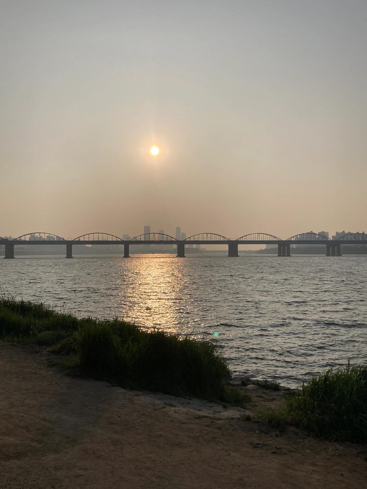 
                        ????| 首爾閑逛之盤浦漢江公園油菜花拖延癥發作，每天想著再遲一天去，結果油菜花就沒了??現在可能只剩下30%的花了，技術不太好的人用手機拍不出大片??今年沒趕上的朋友們，不用特地跑這一趟了???♀?#韓國留學日常 #首爾漢江 #油菜花 #韓國旅游 #首爾景點 #春季賞花