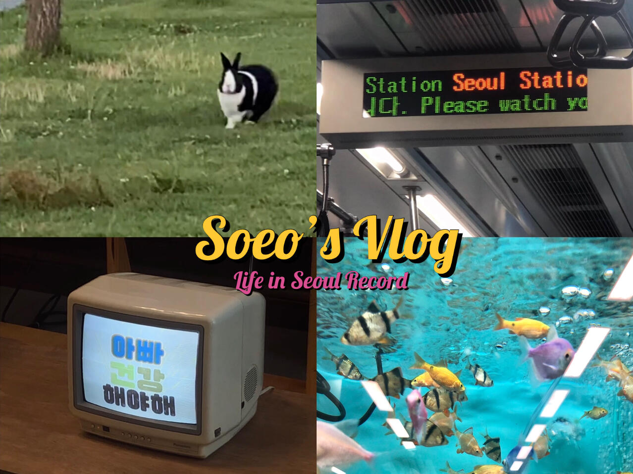 
                        Seoul Record ??想念夏天，想念夏天的漢江，想念熱鬧的弘大路演，想念自由自在戀愛的傍晚。#韓國留學生 #韓國生活 #韓國留學記錄 #日常記錄 #生活碎片 #韓國留學 #首爾 #首爾漢江 #弘大 #夏日回憶 #戀愛時光