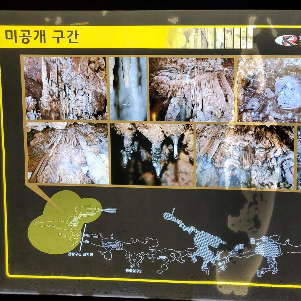
                        ??傾聽圣留窟的聲音??看入口這張照片，是不是有些眼熟呢？沒錯，就是SNS上以打卡照而聞名的蔚珍圣留窟。??圣留窟是一個神奇的石灰巖洞窟，意為圣佛停留的洞窟。奇妙的石灰巖也被稱為地下金剛。?入口處的風景已經讓人充滿期待！在門口拍了半天照片才意識到還沒有正式進入圣留窟內參觀。??不愧是1963年被指定為天然紀念物的圣留窟，在這里可以看到在其他洞穴中不常見的形狀的石筍。再深入一點的地方由于安全和保護原因還沒有對外開放，但光是看到這些照片就足以感嘆大自然的魅力！?? 圣留窟 (???)慶尚北道蔚珍郡近南面圣留窟路221 (????????????221)??訪問時請一定保持安全距離，并佩戴口罩哦#韓國##韓國旅行##韓國觀光##韓國景點##打卡##蔚珍##圣留窟##天然洞窟##鐘乳石##自然旅行##洞穴##冬季旅行##打卡熱點##熱門##慶尚北道#