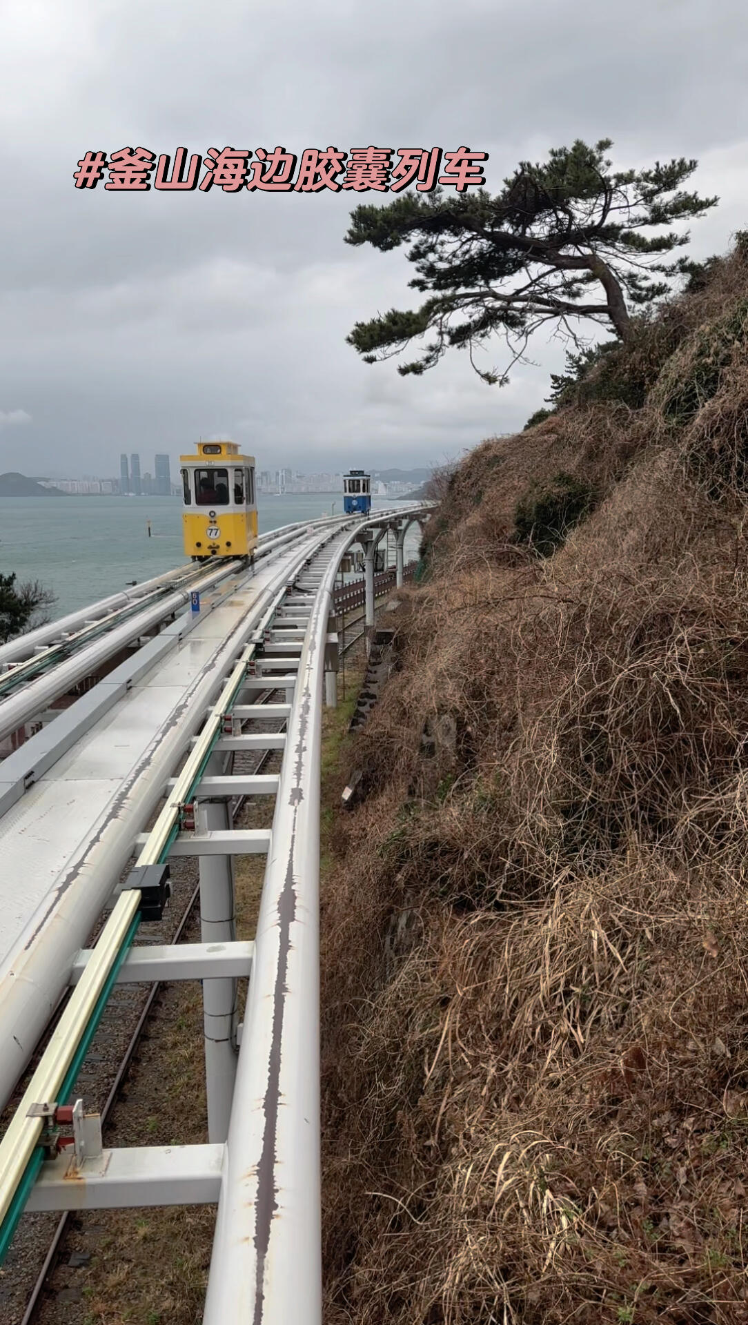 
                        釜山海邊膠囊列車最近去釜山一定要體驗的 膠囊??列車風景真的超美 ～不過，周末一定要提前預約哦，不然可能只能在海邊吹風了～～#釜山旅行 #釜山膠囊列車 #Busan #釜山攻略 #韓國自由行 #釜山必去 #韓國旅游 #海邊風景