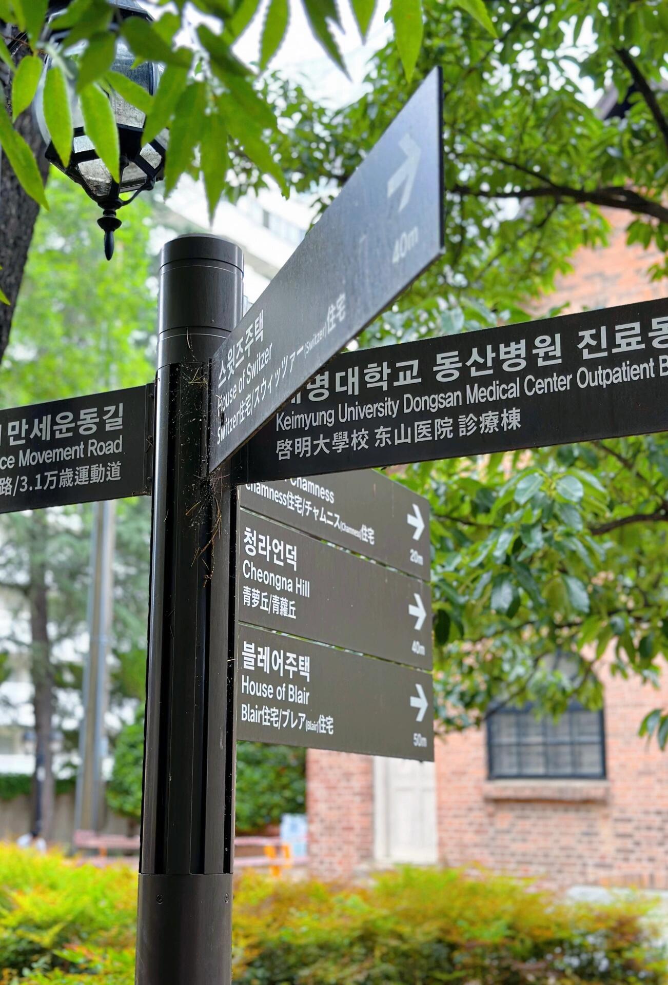 
                        寶藏小眾旅行推薦|韓國大邱的文藝之旅#十一旅行日記 ????韓國大邱作為韓國第三大城市，文藝氣息濃厚，沒有首爾和釜山的擁擠，撲面而來的是歷史的沉淀（雖然韓國的歷史不算悠久??）。百年韓屋改造的星巴克非常適合拍照??，推薦來韓國旅游的小伙伴們一定要打卡哦！#韓國旅游 #韓國大邱 #文藝旅行 #拍照圣地 #小眾旅行 #旅行推薦