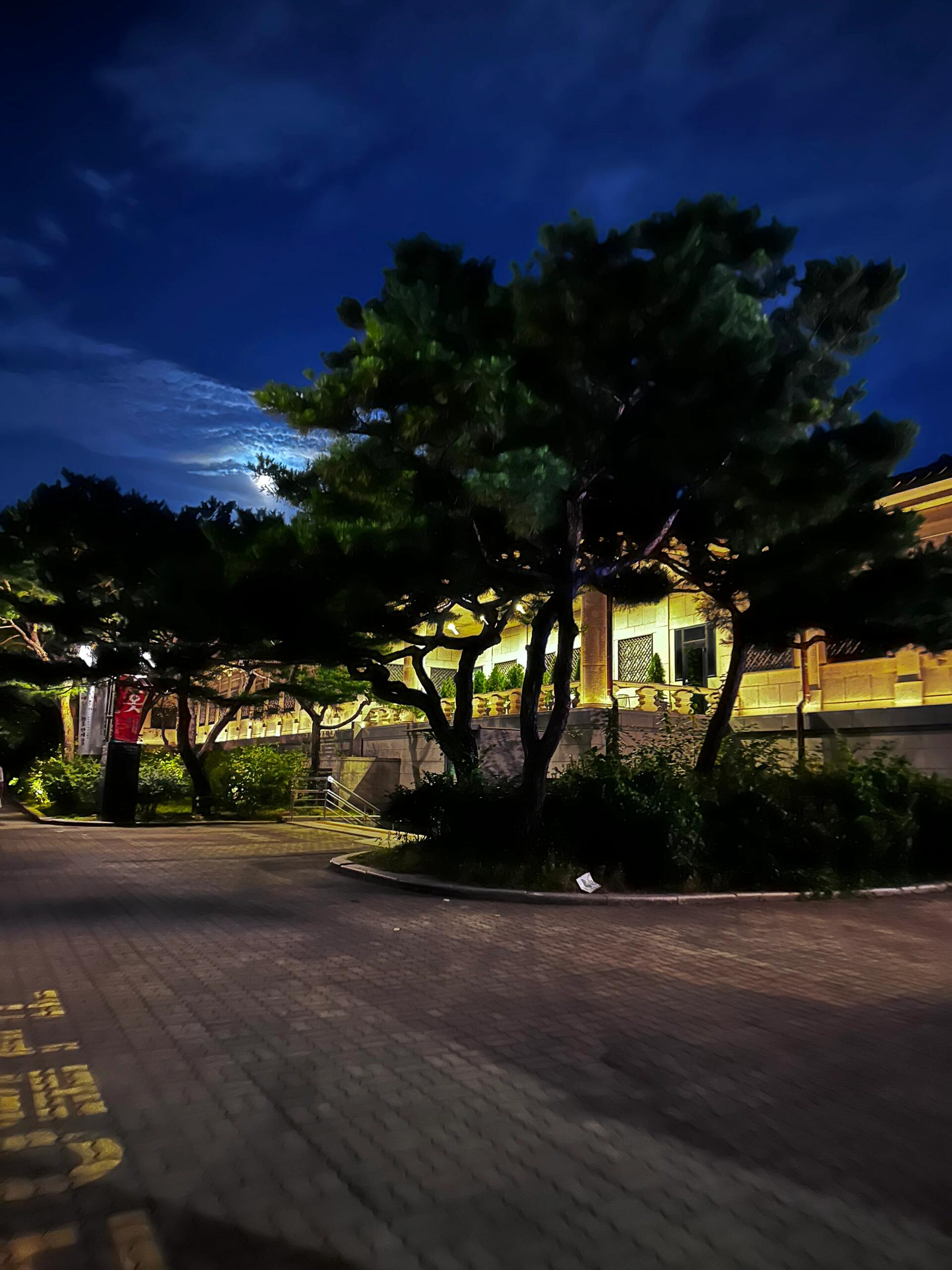 
                        夜游景福宮，游了個啥？游了個寂寞！竟然限定門票，都沒能進去！不過白天景福宮外面，靠著北村韓屋有很多可逛的小店！#景福宮 #韓國景福宮 #首爾探店 #韓國旅行 #首爾旅游 #夜游景福宮 #北村韓屋 #韓國小店 #韓國打卡地 #韓國必去景點 #韓國旅游攻略