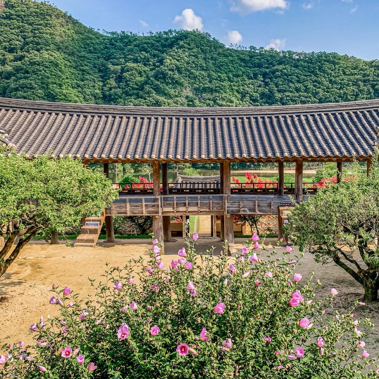 
                        世界遺產(chǎn)·慶北安東-屏山書院????探索韓國的歷史寶藏！屏山書院，這座朝鮮時(shí)代的儒教經(jīng)典建筑，榮登聯(lián)合國教科文組織的世界遺產(chǎn)名錄，每一磚每一瓦都透露著歷史的深厚???。????漫步在被粉紅色花朵裝點(diǎn)的小路上，首先映入眼簾的是莊嚴(yán)的復(fù)禮門。穿過這扇門，左手邊是一片靜謐的荷花池塘，仿佛能聽見歷史的低語。傍晚的微光撒在這些古老的木制建筑上，歲月的痕跡與夕陽的余暉交織，營造出無比迷人的景致??。??屏山書院 (????)地址：慶尚北道安東市豐川面屛山路386 (?? ??? ??? ??? 386)*探訪這個(gè)歷史的角落時(shí)，請記得保持社交距離并佩戴口罩，確保旅行安全哦??。#韓國 #韓國旅行 #韓國觀光 #韓國景點(diǎn) #打卡 #拍照 #書院 #打卡圣地 #打卡熱點(diǎn) #熱門 #慶尚北道#
