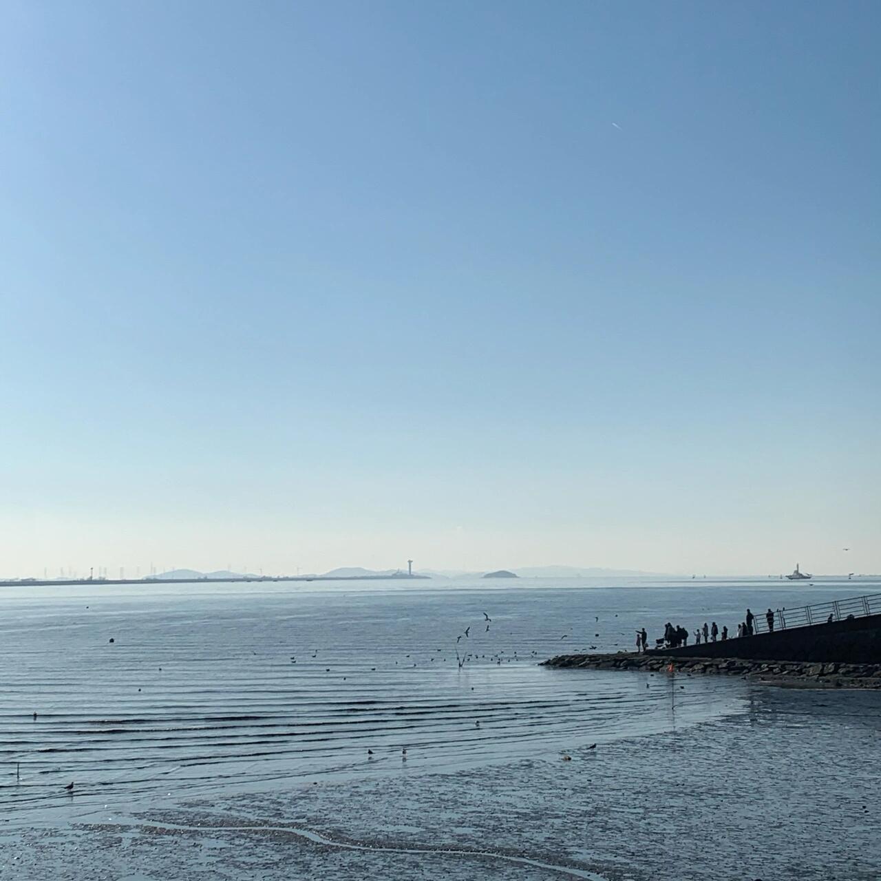 
                        【首爾周邊｜烏耳島???半日游探索】?直達烏耳島???：乘坐地鐵??4號線，再換乘公交??30-2或打車??15分鐘至??????，紅色燈塔是下車的標志（??7500）?完美的半日游選擇：冬季人少，海風凜冽，別忘了帶上圍巾??和羽絨服保暖哦！?海邊美食探索：不容錯過的?????和????，附近餐館眾多，熱情的店主讓人難以拒絕。我們選擇了一家風景如畫的玻璃房餐廳，你也可以根據(jù)喜好挑選風格各異的店鋪。?咖啡時光：推薦???咖啡店project C，當然，還有更多其他選擇，可以通過naver搜索了解更多。?攝影打卡點：日落??時分最是迷人，這里的景致充滿了韓劇的浪漫氣息，非常適合情侶??和閨蜜??來此冬日散心。#首爾周邊游 #烏耳島 #韓國旅游