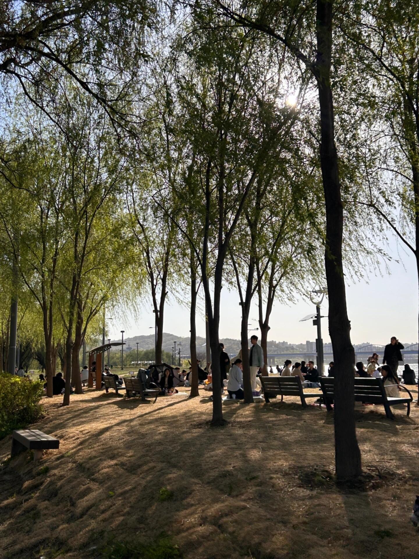 
                        韓國????漢江 盤浦公園 野餐??舒服的野餐 漢江好多人開始野餐了～#韓國 #首爾 #一起去野餐 #戶外野餐 #首爾漢江 #漢江公園 #漢江野餐