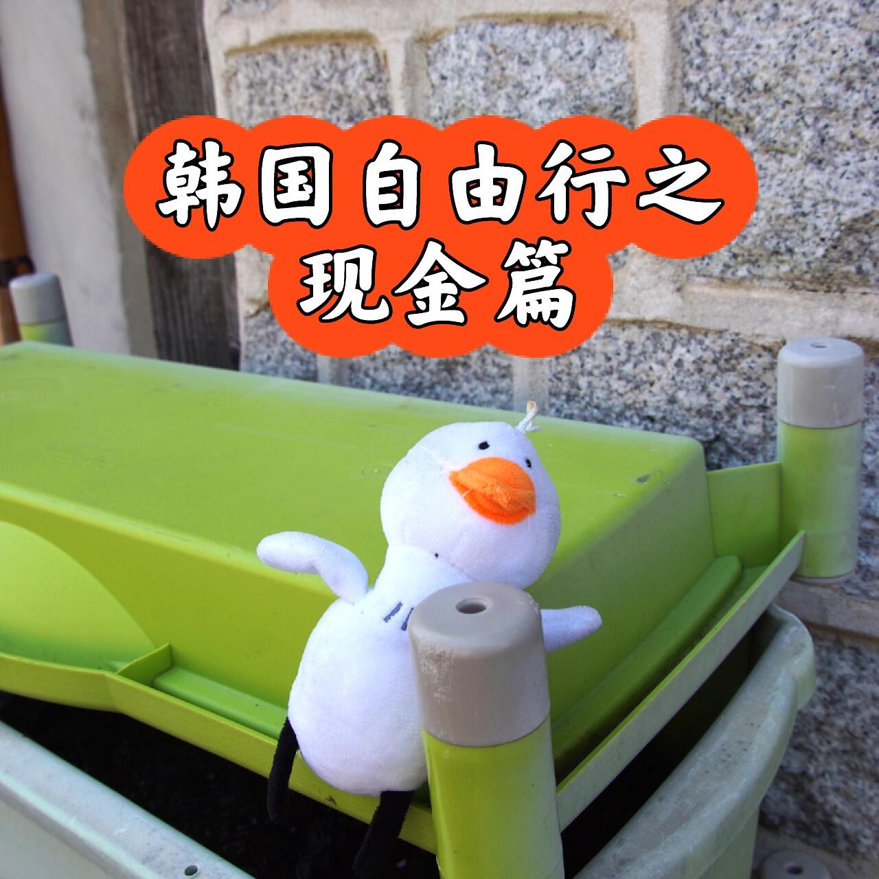韩国自由行之现金篇💵