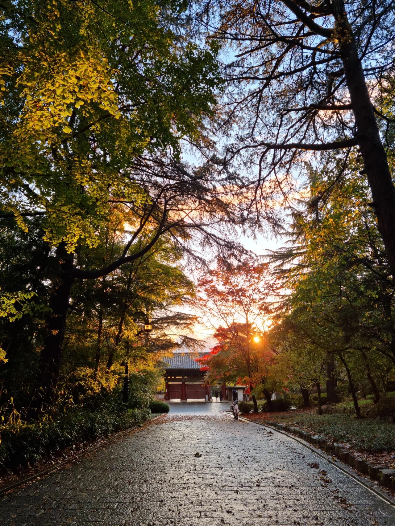 
                        [慶州旅游]-慶州佛國寺今天來慶州啦??！現在正是滿山紅葉的季節，絕對是游覽慶州的最佳時機！特別是世界文化遺產——佛國寺的風景，真的超美！這里可是有著1400多年歷史的珍貴佛教寺廟哦～即使下雨，風景依然美麗如初。你可以在這里欣賞到宏偉的建筑和迷人的自然風光。#韓國旅游 #韓國慶州 #韓國慶州旅游 #韓國秋天 #秋天紅葉
