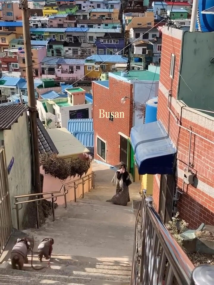 
                        釜山真的好漂亮為了煙火節特地去釜山玩了三天，本來沒抱太大期待，但真的真的好漂亮！?釜山的景點氛圍感和首爾完全不一樣，在釜山的那幾天總覺得自己好像不在韓國。還沒去過釜山的朋友們，快去看看吧！??-#釜山 #釜山旅行 #韓國生活 #韓國旅游 #浪漫生活的記錄者 #煙火節 #旅行推薦