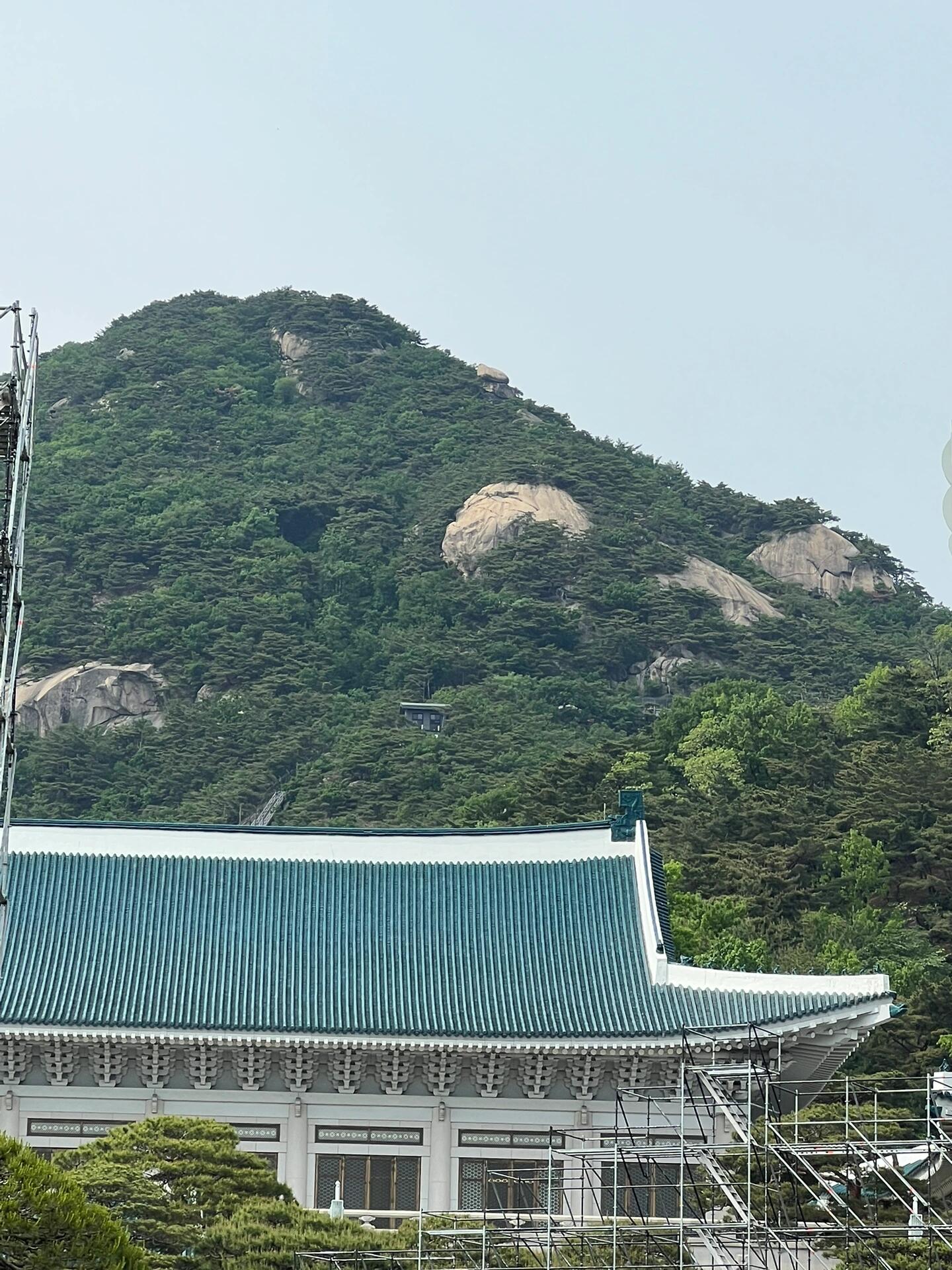 
                        景福宮和青瓦臺(tái)真的超值得一游景福宮的后花園和青瓦臺(tái)的后山，真的是超有看頭的哦！??園林造景非常別致，充滿了意境，春天來(lái)逛，簡(jiǎn)直是寫(xiě)意滿滿。??特別是對(duì)于松樹(shù)愛(ài)好者來(lái)說(shuō)，但凡有松樹(shù)，景致格調(diào)就立馬提升了。??韓國(guó)的松樹(shù)，雖然沒(méi)有黃山的松那么挺拔峻秀，但也有一種野蠻生長(zhǎng)的拙樸和怪雅。#人文景點(diǎn)分享 #首爾旅行 #青瓦臺(tái) #韓國(guó)景福宮