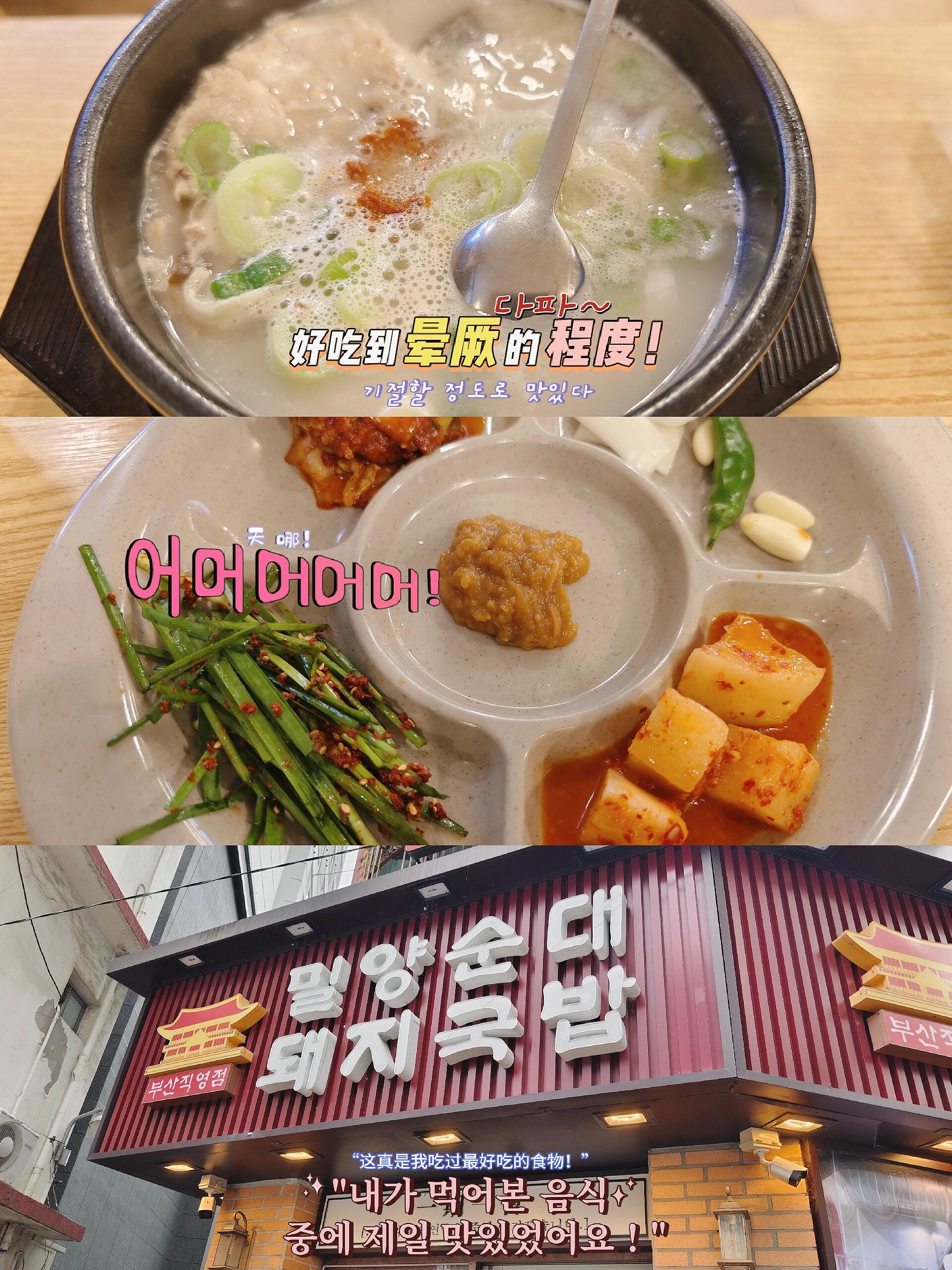 
                        韓國自由行① | 釜山豬肉湯飯真的絕了！??本來想去網紅餐廳本錢豬肉湯飯吃的，到了之后發現排隊的人太多了，直接放棄！??在去另一家網紅店的路上遇到這家(密陽米腸豬肉湯飯)，也有人排隊但是不多，就進去試試了。進店點了豬雜湯飯和豬肉拼米腸湯飯。作為一個肉食主義者，除了米腸吃不慣和米飯只是一小碗之外，其他都還不錯，湯也很濃郁。算是沒踩雷。??特別想說的是，肉配上洋蔥、生辣椒和蒜真的太香了！吃肉不配蒜，味道少一半。韓國的蒜都不是很辣，味道剛剛好！朋友們去吃的時候一定要試試，而且可以無限加！??#韓國 #釜山 #釜山攻略 #釜山旅游 #美食推薦 #自由行 #旅行攻略