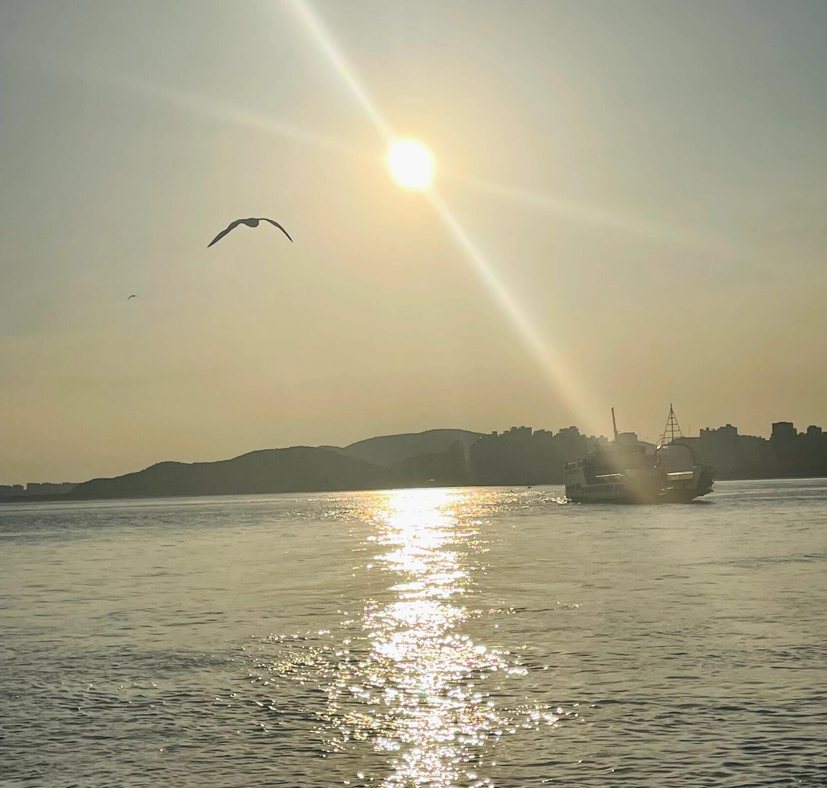 
                        ????探索韓國仁川：月尾島一日游完全指南直接乘坐地鐵到仁川站，出站后馬上能看到對面的中國街，前往月尾島可以選擇乘坐公交或者環島小火車（圖6??），同時，月尾島還提供直船前往永宗島，讓你的旅行更加豐富多彩。??中國街地理位置優越，緊鄰地鐵站。雖然我選擇的是周一前往，部分店鋪未開門，但這里的餐館眾多，特別推薦十里香烤包子（圖3??），香氣撲鼻，讓人忍不住馬上品嘗。??月尾島島上娛樂設施豐富，人氣旺盛，尤其是迪斯科蹦蹦，排隊的人絡繹不絕。游玩體驗非常棒，主持人與游客的互動充滿樂趣，讓人笑聲連連。此外，島上的海鮮餐廳極受歡迎，雖然我對海鮮不太熟悉，但每家餐廳前都是人潮洶涌，建議提前預約，避免尋找餐廳耗費過多時間。??永宗島從月尾島可以直接乘船前往永宗島（圖6??），這里有美麗的沙灘和浴場，還可以在海邊撿拾可愛的小螃蟹。如果不打算在永宗島過夜，務必注意最后一班船的時間，確保順利返回。這樣的一日游非常輕松實現，無需復雜的交通安排，經濟實惠。在這里，你可以享受海風、觀賞落日，完美逃離日常的學習和工作壓力，純粹地享受放松時光??。希望大家都能擁有一個愉快的旅程?? #旅游 #旅行 #仁川月尾島 #仁川中國城 #韓國生活 #plog