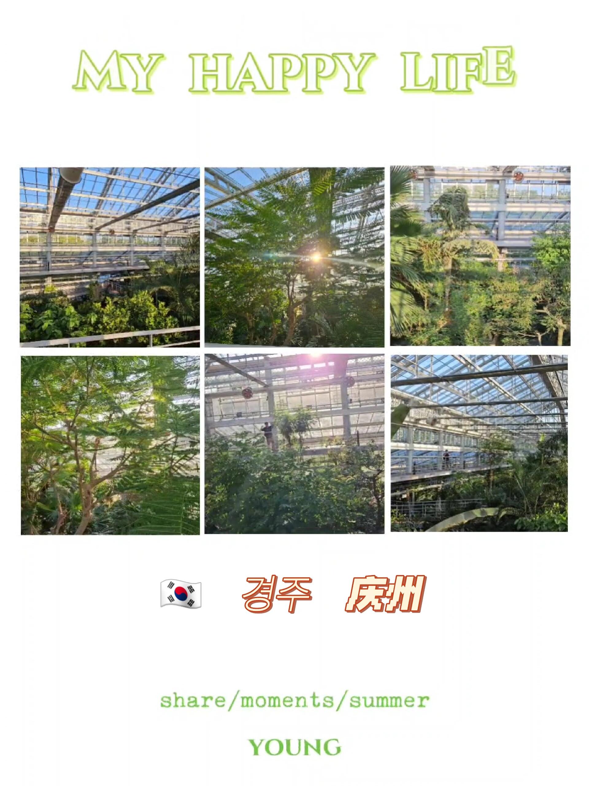
                        韓國????慶州呀呀呀雖然頂著35°? 高溫??但是一切都值得了????????????????????#韓國 #韓國旅游 #韓國慶州旅游 #韓國慶州 #韓國慶州 #韓國旅游 #情侶約會 #旅行 #記錄 #記錄生活 #生活碎片 #標記我的生活 #情侶 #中韓情侶
