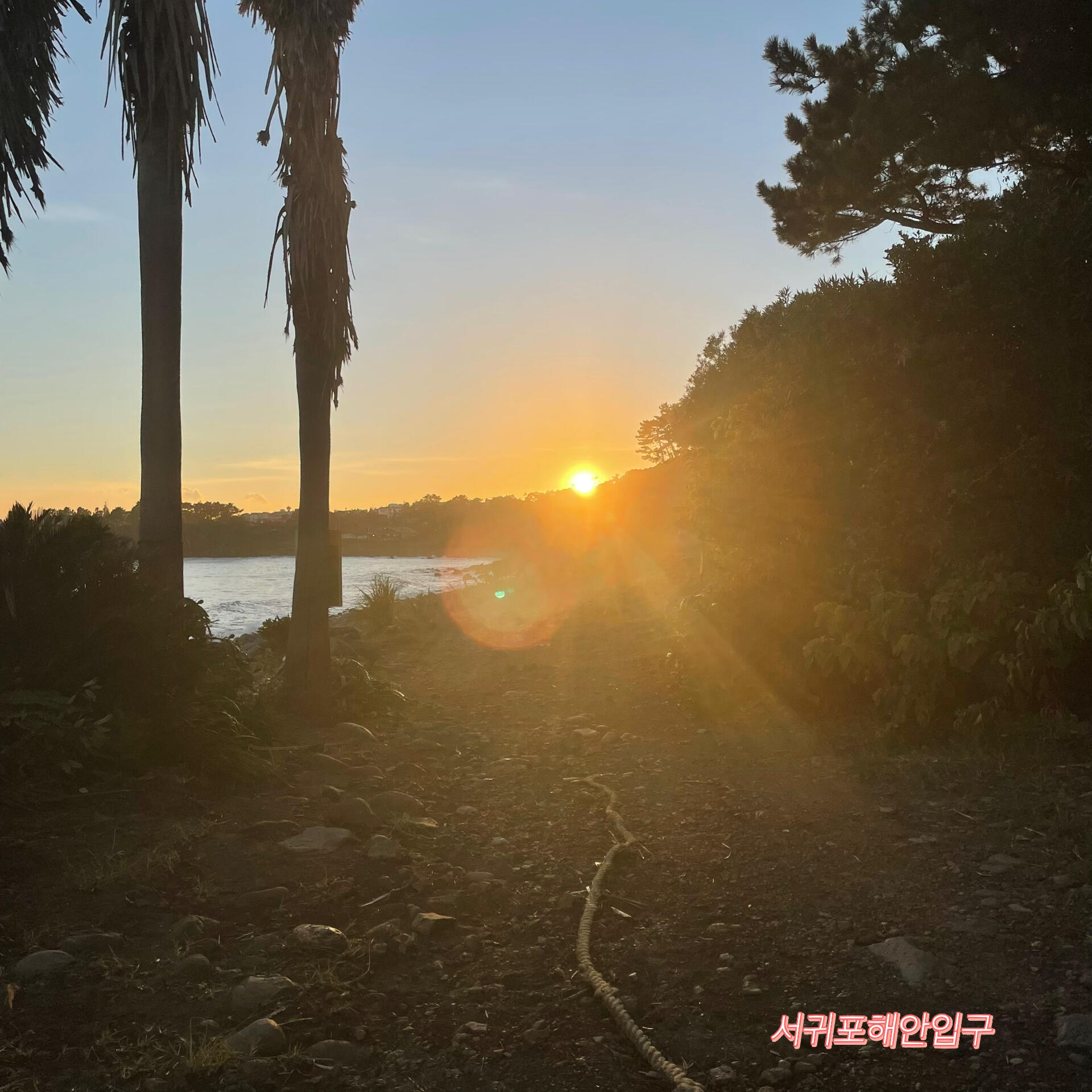 
                        濟州島南線旅游 小眾推薦在西歸浦住了差不多半年，大大小小的景區(qū)都去過啦，給大家整理一下紅黑榜，可以根據(jù)自己路線參考噢！有很多獨家推薦，很多人不知道的好地方哦！紅榜：中文海水浴場 ?? 浪比較大，附近有很多好看的咖啡店。推薦????，這家懸崖上的咖啡店，面前就是大海，一點遮攔都沒有，景色超好！還有咖啡店????，這家咖啡店超級好看，甜品也很好吃。???黑豬肉，好吃哭了！這家是連鎖店，在濟州島有好幾家，人多的時候要排兩三個小時，但是真的很好吃！??柱狀節(jié)理帶，這邊是火山??噴發(fā)后自然冷卻形成的，還是很難看到的景色。景區(qū)不大，可以去逛逛。981卡丁車 ??? 我之前發(fā)過視頻，可以去翻一下～ 一定要太陽快落山的時候去，夕陽太美了！注冊他們的app可以看見你卡丁車的成績還有視頻。仙女湯??????，夏天去這里游泳??很安全又不會浪太大，但是人有點多。有很多穿比基尼的美女姐姐。沒有人知道的海邊椰樹路！很少很少人知道，是我之前住的附近。需要從上面走下路一路下到海邊，海邊超美，有一段椰樹路，還有小溪。不遠的話大家可以去玩！地址在?? ???? ??? ??? ????。牛沼河口 ???，很多人說這邊是濟州島的黑沙灘，但是得瘋狂調(diào)色加濾鏡才能看起來是黑沙灘，就是灰灰的，跟真的黑沙灘沒法比。黑榜：圖里的各種瀑布都超級沒有意思！很小，很不好看！西歸浦市的????也沒什么意思，里面吃的不好吃還很貴。還有各種博物館，也有可能是我不喜歡這種，感覺博物館就是很刻意建來賺游客錢的。#濟州島 #濟州島旅行 #濟州島美食 #濟州島旅行攻略#濟州島咖啡店 #濟州島西歸浦市 #濟州島紅黑榜#西歸浦 #濟州島南線