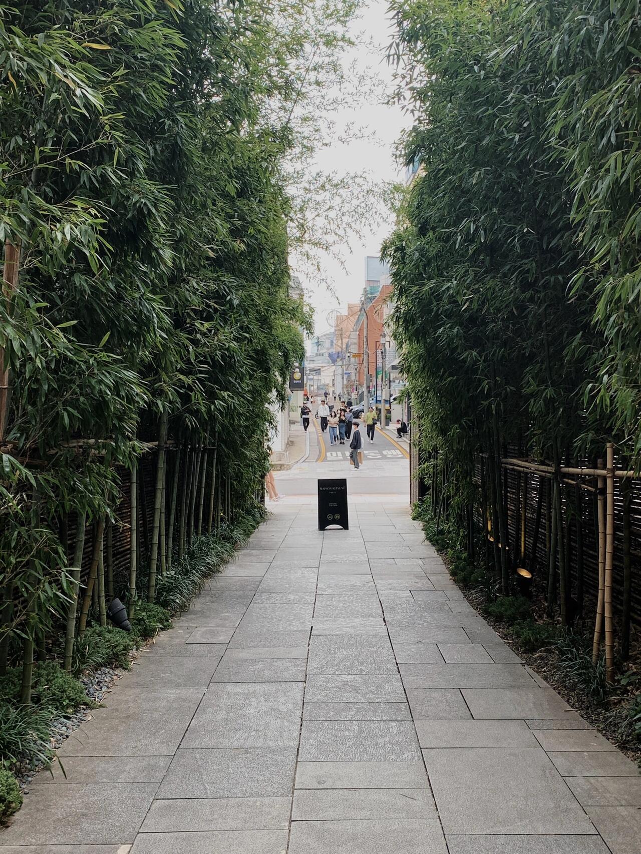 
                        韓國探店｜新沙洞｜再訪心頭好的??咖啡館??第一次漫步新沙洞真的覺得這里太美太好逛了街道兩邊滿是各式各樣的店鋪而狐貍咖啡就藏匿在一條小巷里一走進去就被那片綠意盎然的竹林迷住超愛這樣的地方，隨便點上一杯??然后坐在戶外區，享受悠閑時光每次來都有新的感動，怎么會膩呢????強烈推薦給你們，一定要加入收藏????Cafekitsune?營業時間：周一至周日11AM ~8:00PM??地址：23 Dosan-daero 13-gil, Gangnam-gu, Seoul, South Korea#探店 #旅游 #咖啡 #新沙洞林蔭路 #我的咖啡日記 #COTD咖啡探店 #韓國新沙洞 #首爾探店 #首爾旅行 #首爾咖啡 #韓國咖啡店 #新沙洞咖啡店 #新沙洞探店 #咖啡館#狐貍咖啡 #CafeKitsune #旅行