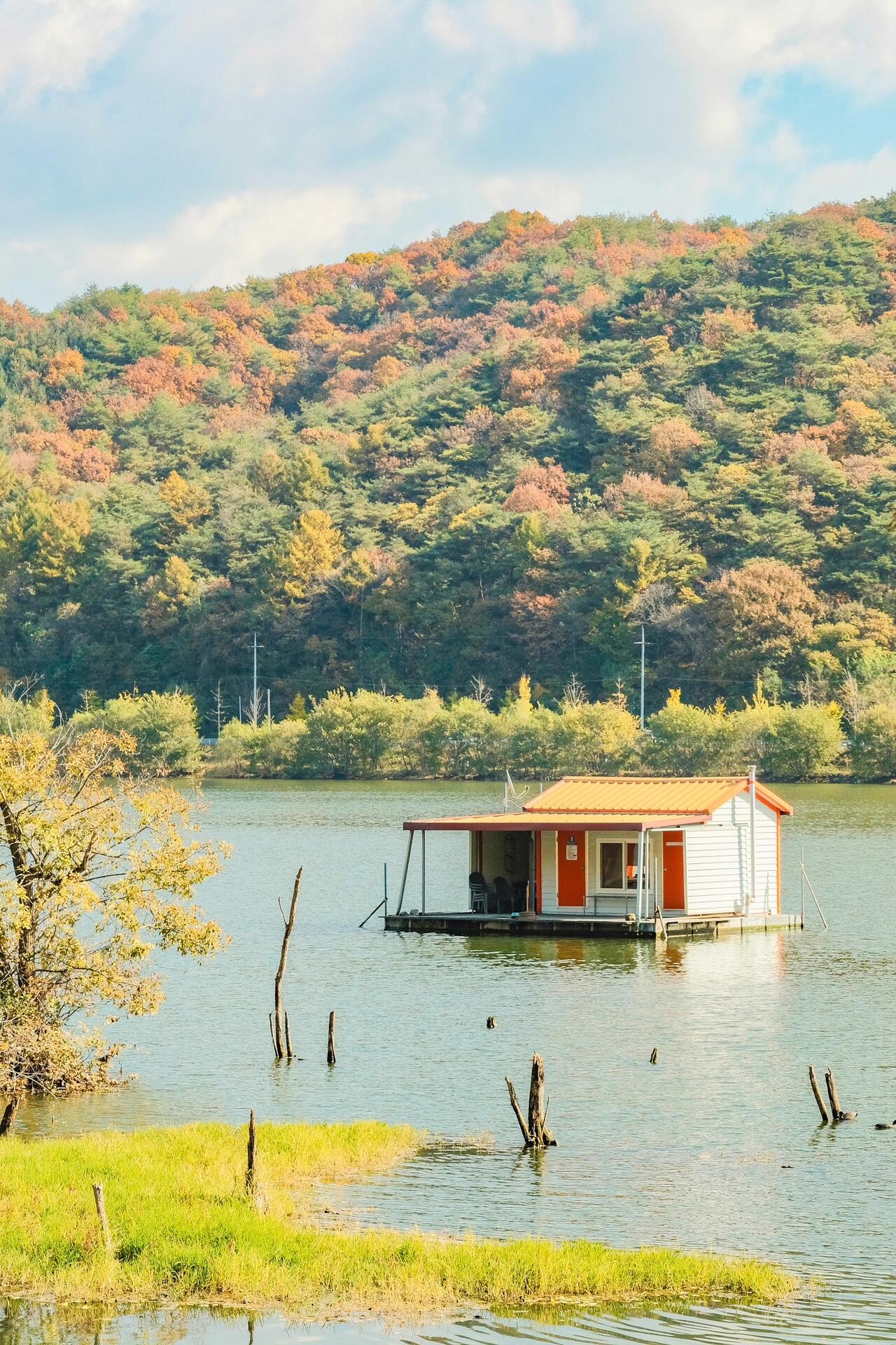 
                        ????韓國賞秋｜浪漫金秋銀杏路??10月末的銀杏，11月初的紅葉，一年中最美的季節馬上要來啦，跟著我的腳步一起去賞秋吧??????? ???????寵物友好??無需門票???免費停車非常有名的銀杏路，并且是韓劇《花游記》的取景地，環繞水庫，視野開闊～拍照tips：因環繞水庫，早晨時分能拍出仙氣繚繞的氛圍#用一張圖形容秋天 #筆記靈感 #韓國 #韓國旅行 #韓國旅游 #韓國旅游種草 #韓國賞秋 #韓國的秋天 #銀杏黃了 #韓國周末去哪玩兒 #我的小眾旅行攻略 #韓國旅行攻略 #我眼中的秋天 #治愈系風景 #留學韓國 #寵物友好景點 #這里可以帶狗玩 #帶狗旅游 #帶著狗狗去旅行 #神仙秋景去哪兒看 #旅途中的美景 #韓國狗狗同伴