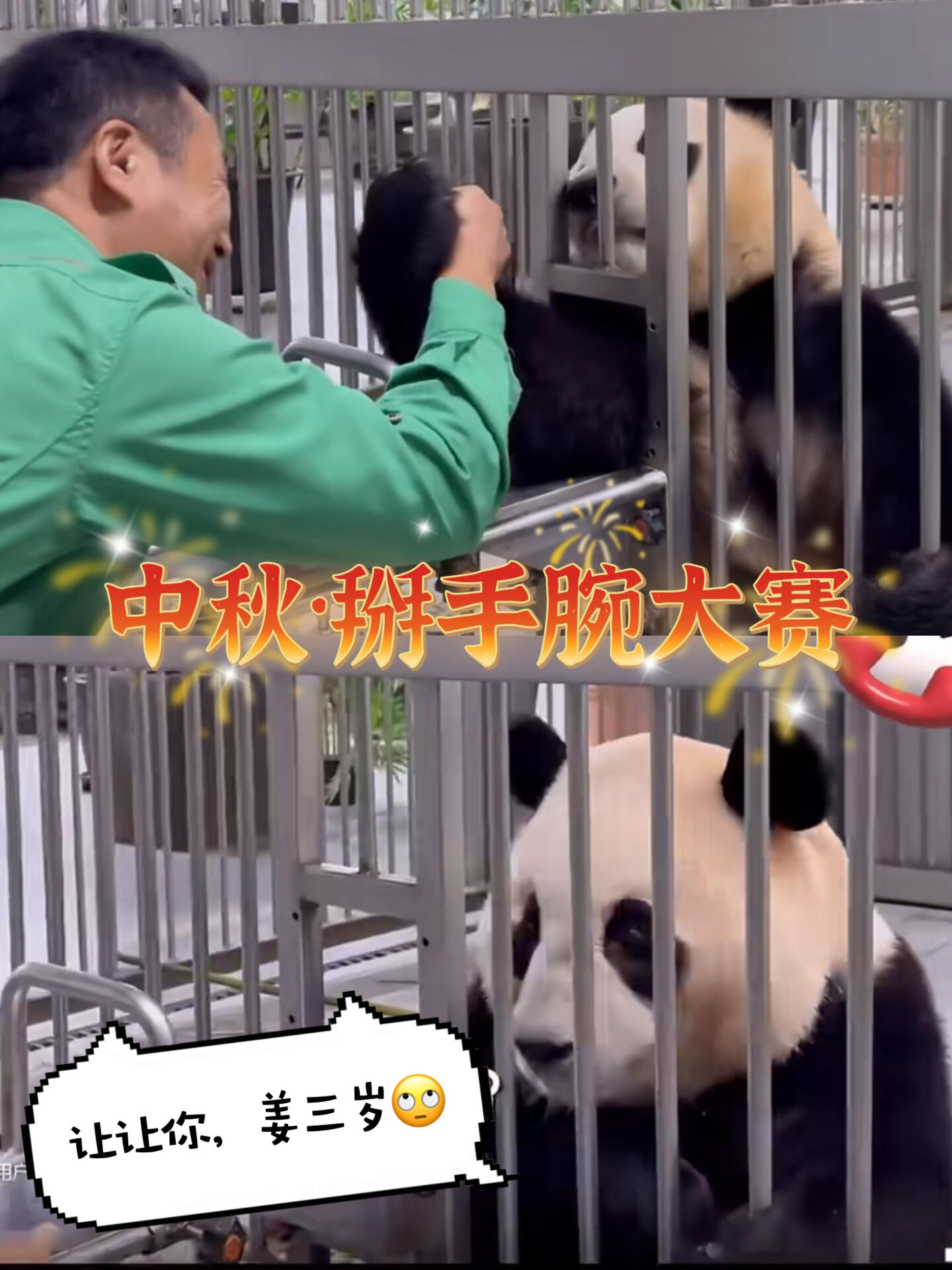 
                        中秋節福寶和姜爺爺掰手腕，結果出人意料！今年中秋節，“福寶”竟然和姜爺爺掰手腕，結果“放水”放過了，福寶輸了......網友們紛紛笑稱：“福寶雙商超高的”，“福豬太圓滑了，懂得見好就收，給爺爺留面子，這樣大家都開心”??。#大熊貓 #大熊貓福寶 #福寶姜爺爺 #愛寶樂園 #韓國旅游