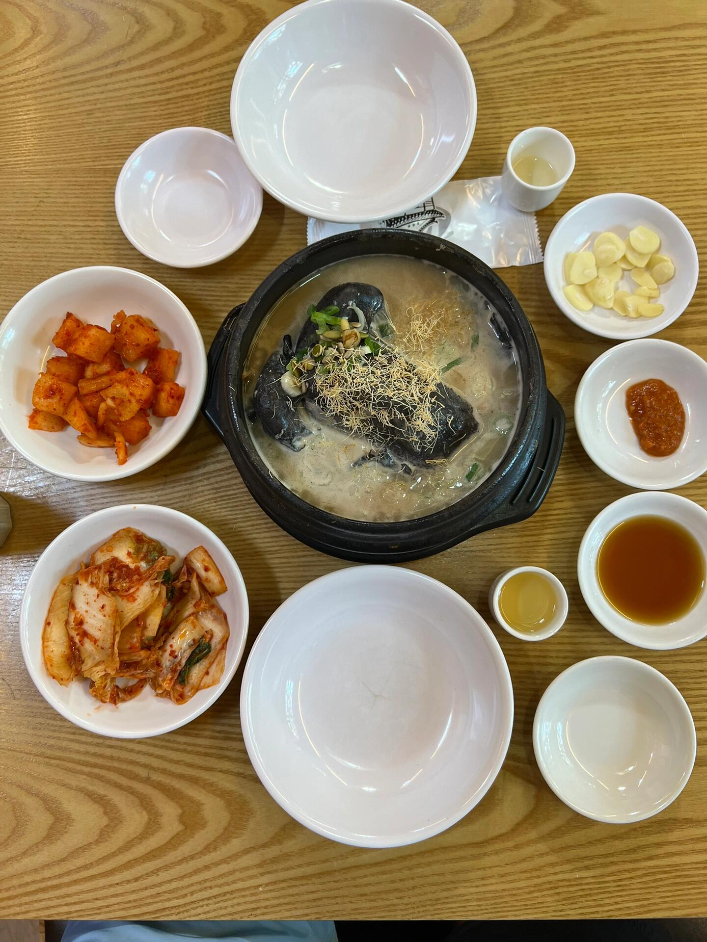 
                        韓國首爾：青瓦臺-景福宮-光化門下午1點到的青瓦臺（圖1-3），不需要預約，里面真的很震撼（主要是沒見過）??。3點出青瓦臺，從景福宮北門進，景福宮（圖4-6）逛了1個多小時，感覺一般，建筑里面都不開放。路邊喝了杯咖啡（????咖啡店密度真的大），然后去吃的【土俗村參雞湯】（圖10，在小紅書和Naver都很火??），兩個人飯量不大的話，點一個雞一個海鮮餅正合適。吃完飯繼續往南走，光化門（圖7-9），也沒啥特別的，應該算不上一個景點，倒是路邊突然來了一堆警察，不知所措，哈哈哈。如果時間有限的話，青瓦臺、景福宮、光化門，最推薦青瓦臺。#韓國 #首爾 #青瓦臺 #景福宮 #光化門