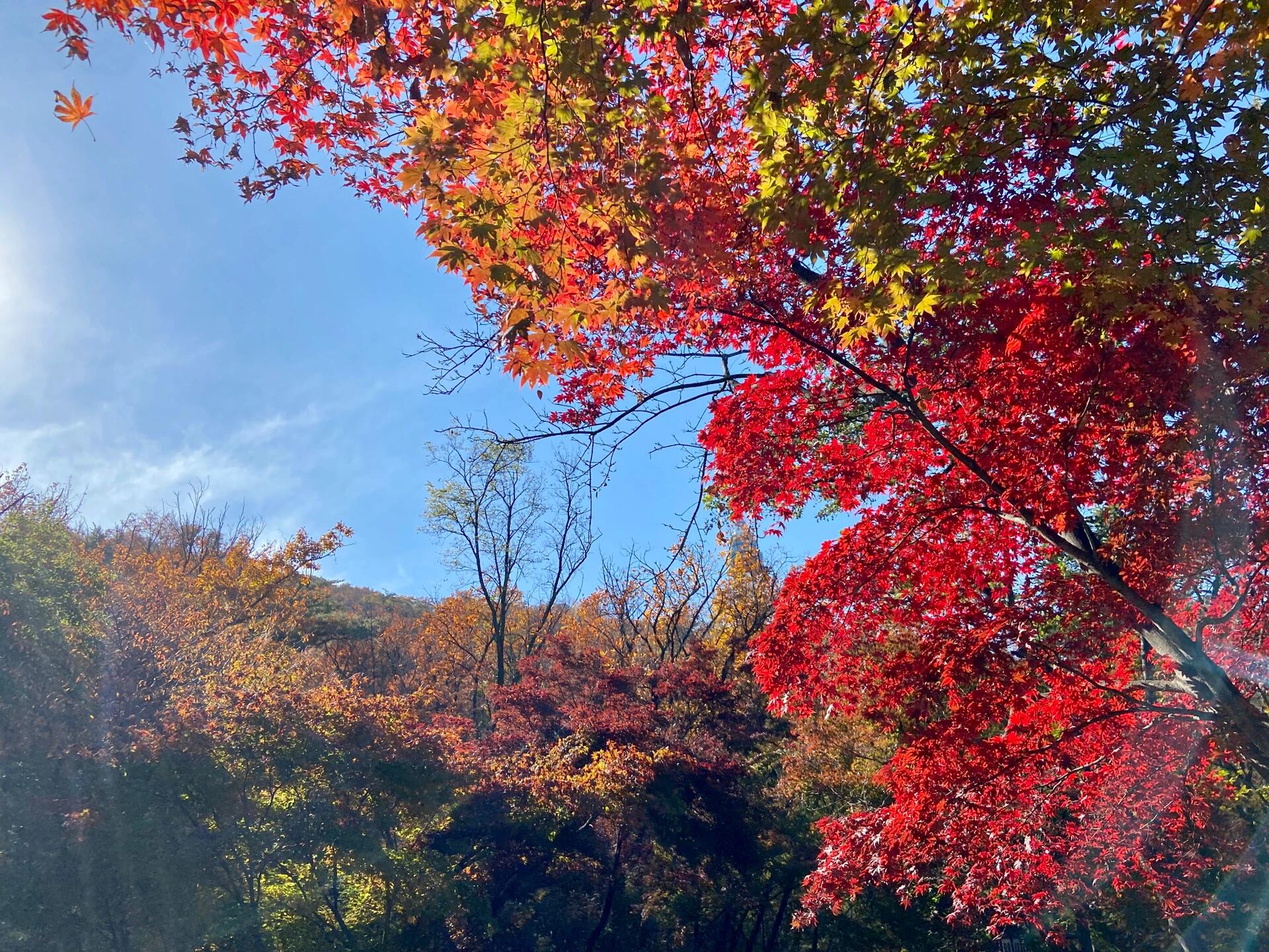 
                        ????首爾南山塔????如圖首爾的南山塔真的超級美哦！?#韓國旅行#南山塔#首爾景點#韓國旅游攻略