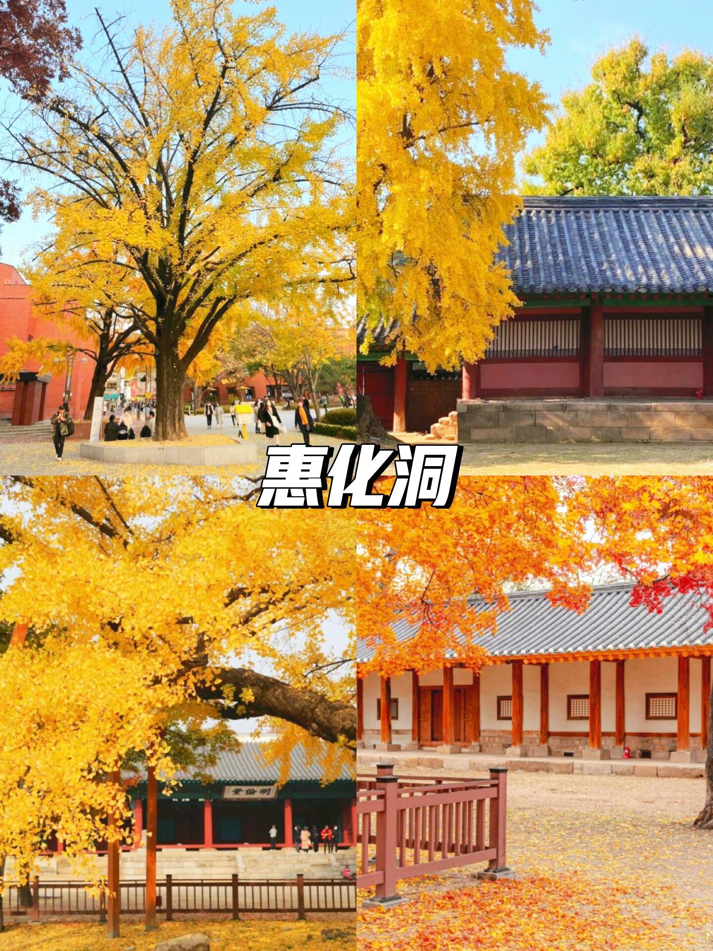 
                        ????首爾秋日必打卡景點??????秋天悄然而至??，首爾的秋景美得讓人心醉??。今天給大家推薦幾個首爾秋日必打卡的景點??，快來看看吧！1??景福宮秋天的景福宮是最美的季節??，陽光灑在古老的建筑上??，映襯出金黃色的秋葉??，感受歷史文化的魅力??。??首爾市鐘路區世宗路1-91??三號線景福宮站???11月-2月/9:00-17:00???3月-5月，9月-10月/9:00-18:00???6月-8月/9:00-18:30???3,000??穿韓服免門票??2??首爾林每年秋天，首爾林??變成一片金黃色的海洋??，在樹林間漫步????，欣賞樹葉變黃的美景????，還可以順便逛逛周邊的圣水洞和漢江的風景。??首爾市城東區纛島路273??水仁盆堂線首爾林站???5:30-21:30??無門票??3??汝矣島秋日的汝矣島漢江邊野餐??非常愜意??，地鐵口出來就有各種野餐裝備租賃??，記得走的時候帶走垃圾哦。??首爾市永登浦區汝矣島洞8??五號線汝矣渡口站2、3號出口4??奧林匹克公園秋天的奧林匹克公園有大片波斯菊??，從九月中旬到十月末都能看到??，無需預約和門票。??首爾市松坡區奧林匹克路424??八號線夢村土城站1號出口??九號線漢城白濟站2號出口5??龍山公園原本是龍山美軍基地??，現在是向市民開放的龍山公園???，公園內保留著眾多美式建筑???。??首爾市龍山區西冰庫洞235-5??京義中央線西冰庫站1號出口???9:00-18:00??每周一關門6??合井Jandariro63咖啡店這家咖啡店??是合井洞的熱門打卡地??，可以看到銀杏樹的獨棟咖啡店??，非常適合拍照??。??首爾市麻浦區西橋洞377-25??二號線六號線合井站2號出口???11:00-23:00??每周一店休7??惠化洞成均館明倫堂??是秋日大火的??景點，每年都有很多人來拍照打卡???，百年銀杏樹和楓葉??名不虛傳??，建議早點去避免人多。??首爾市鐘路區成均館路31??四號線惠化站4號出口#韓國旅行 #首爾旅行 #秋日限定 #成均館 #景福宮 #汝矣島 #首爾奧林匹克公園 #銀杏葉 #首爾秋天
