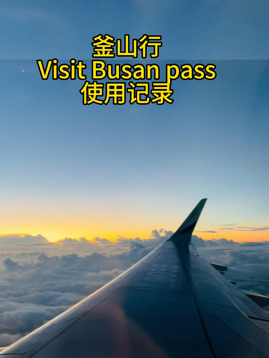 
                        visitbusanPASS使用記錄如果不是下雨，能夠用更多???#釜山旅行#visitbusanpass#韓國 #韓國旅行