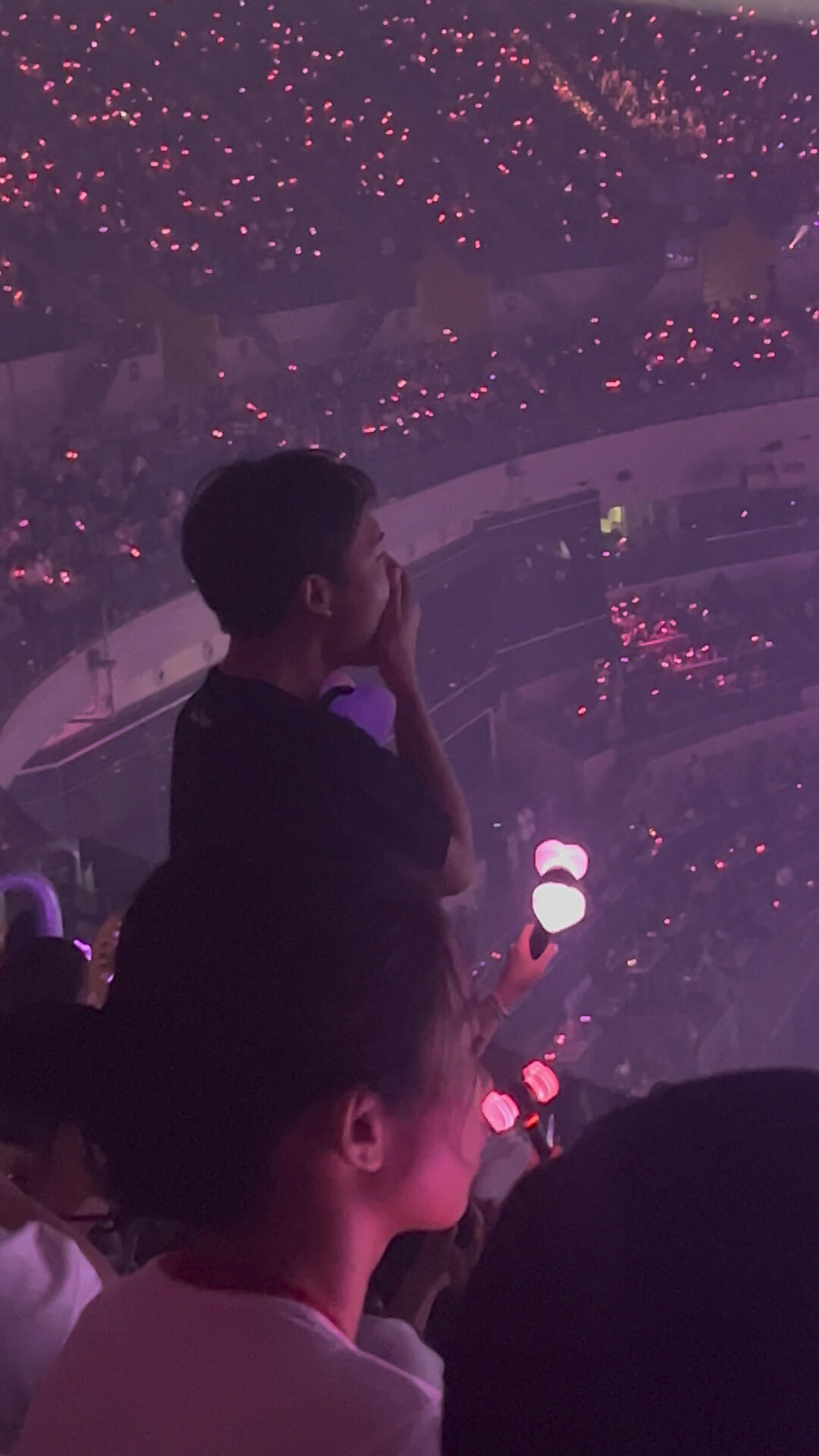 
                        你是真正的BLINK嗎？??你不應該在山頂，而應該在坑里！??? #韓國生活 #BLACKPINK #演唱會體驗
