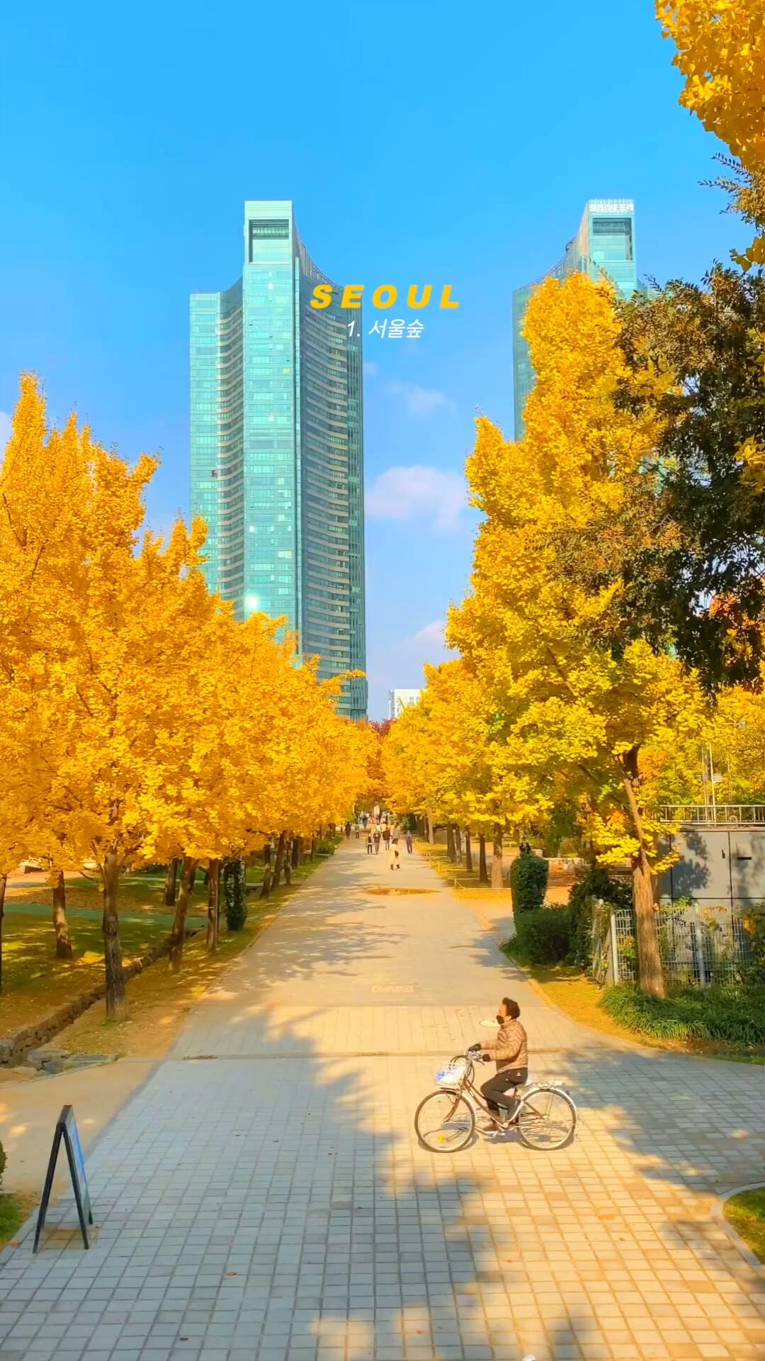 
                        適合秋天去的10個韓國首爾站????奧林匹克公園??首爾森林??國立中央博物館??纛島漢江公園??圣水天橋??解放村胡同??盤浦漢江公園#十一旅行日記 #旅游 #韓國首爾 #韓國 #首爾 #韓國旅行 #首爾旅行 #秋季旅行 #韓國秋天 #首爾景點 #秋游推薦