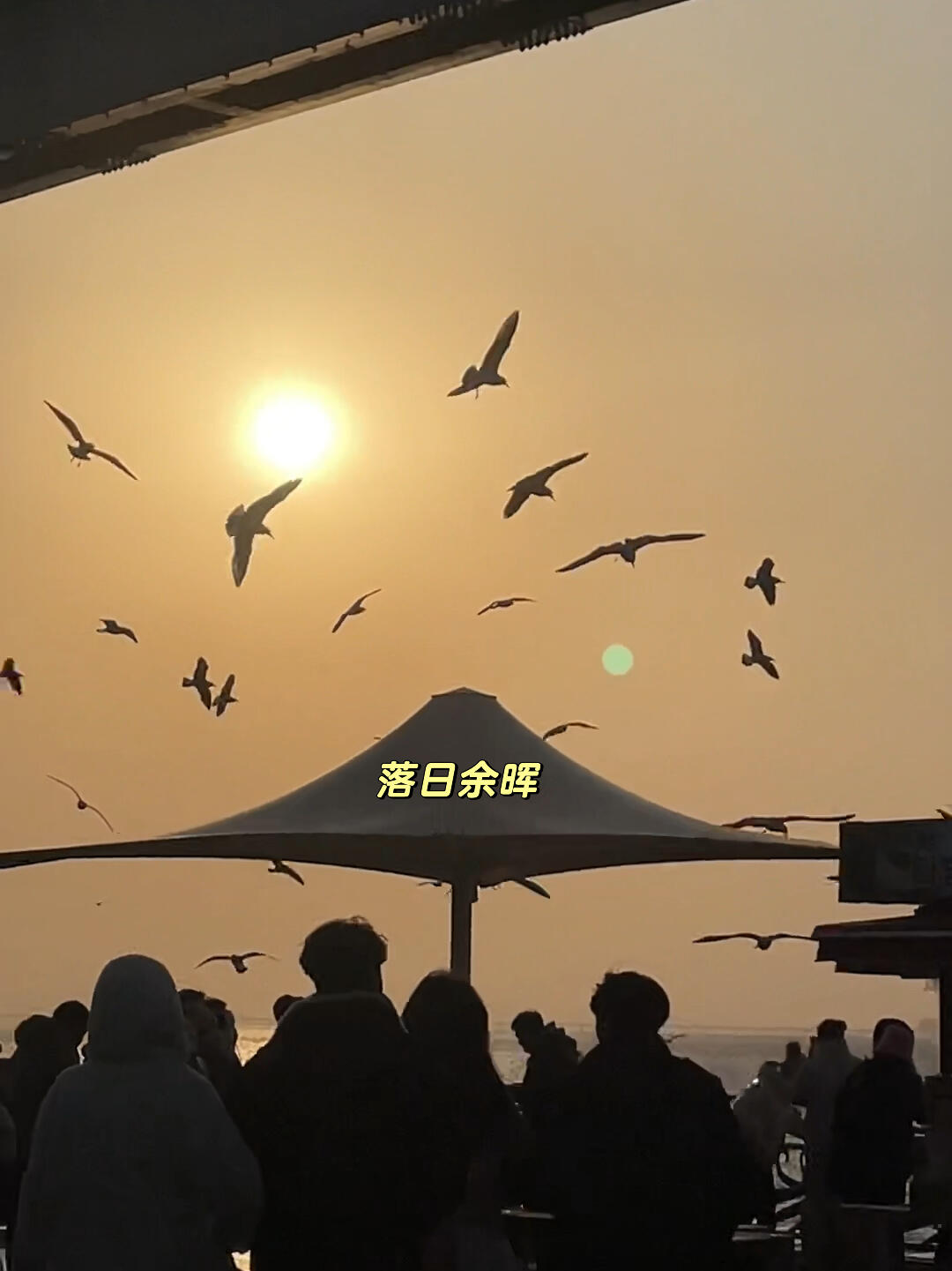 
                        月尾島｜捕捉生活中的浪漫瞬間在韓國仁川的月尾島，欣賞落日的余暉和海鷗翱翔的自由，感受生活的美好?#浪漫生活記錄 #韓國旅行 #仁川月尾島 #韓國景點 #落日美景 #韓國旅游 #首爾周邊游