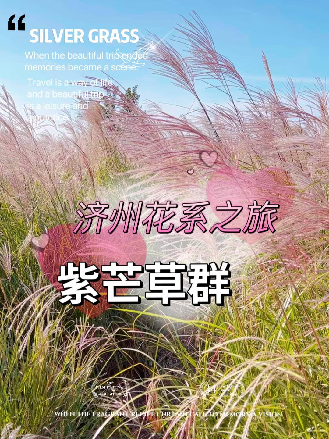 
                        自然景觀｜秋日&尋找只屬于我的紫芒草??不知為何，我對芒草有一種特別的喜愛。???看到這么大片的芒草，心情無比愉悅。這里可以隨意走動，親手觸摸，興奮地拍照留念。.??初秋時節，濟州的芒草泛起淡淡的紫色，隨風搖曳，風姿綽約，景色格外迷人。這片美麗的紫芒草景觀，雖然不如山君不離的壯觀，卻足以讓我沉浸在紫芒草的樂趣中。.??想了解更多??旅游資訊??歡迎??在評論區留言，感謝點贊關注??#韓國旅游 #濟州島 #韓國自由行 #韓國旅游攻略 #自然風光分享 #秋日限定 ??
