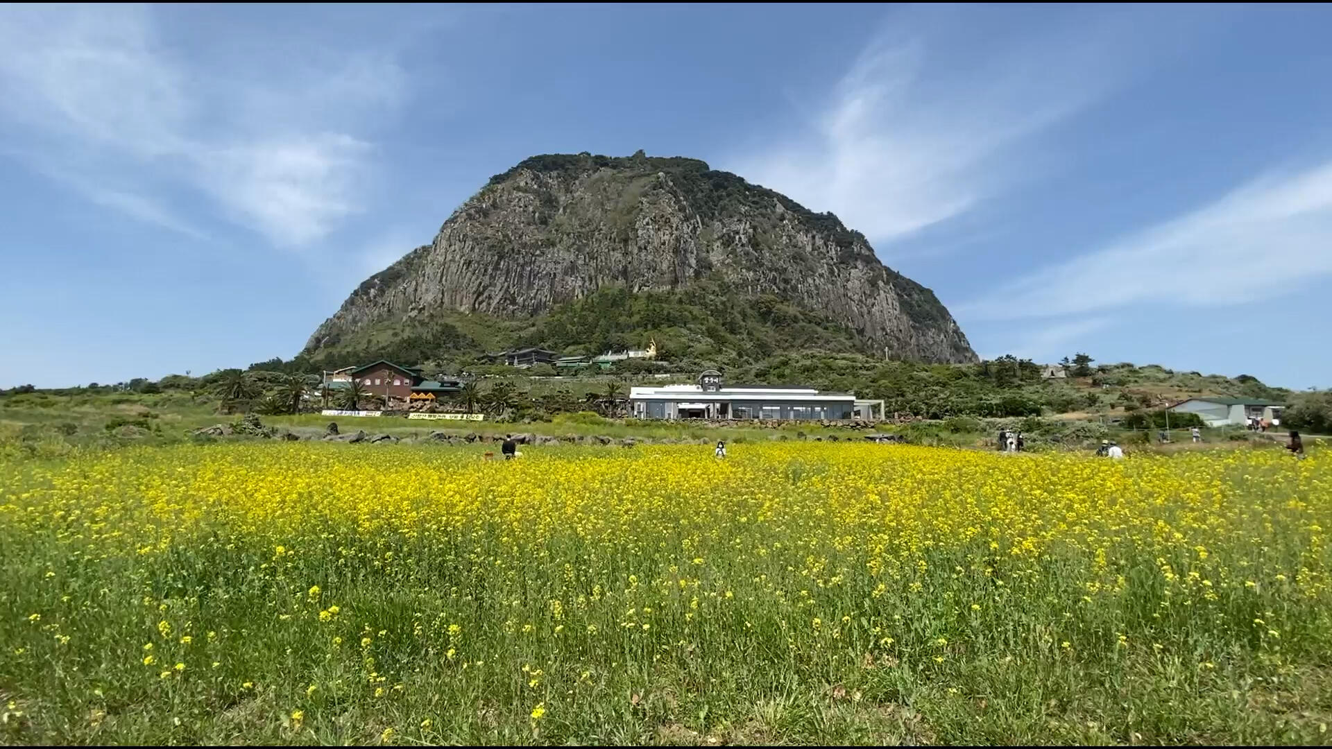 
                        韓國游記4-2: 濟州島/西歸浦/山房山山房山是一座鐘狀火山體，外形酷似火山??。每年春天，油菜花盛開時，山房山和海邊一帶美麗極了????…#韓國?#韓國旅游?#濟州?#濟州島?#西歸浦?#山房山?#火山?#春天?#油菜花?#海邊?#大海