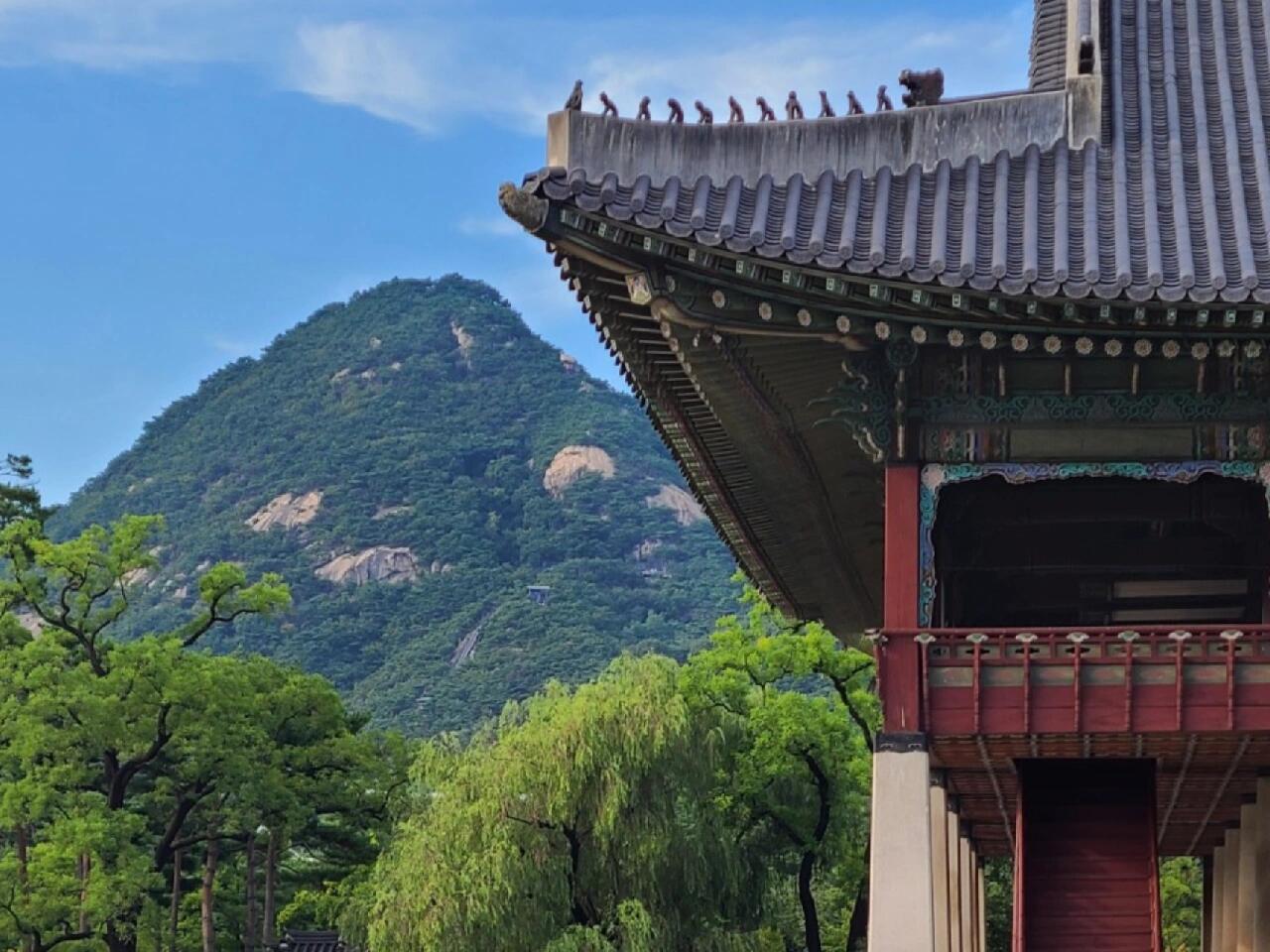 
                        中秋節不回國的寶子們，韓國景福宮了解一下！#景福宮 #韓國景福宮 在2023.09.28~10.03期間免費開放哦～?? 大家可以去拍美美的照片留念～※ 2023年9月28日（星期四）至10月3日（星期二）中秋節和公共假日期間，景福宮和七宮免費開放※ 夜間參觀需付費（10月2日，10月3日，10月4日夜間參觀不開放，穿韓服的話，夜間參觀免費）慶會樓特別參觀和景福宮常規解說不開放※ 10月1日（星期日）景福宮常規解說開放（韓語解說時間 - 10:00, 11:00, 13:00, 14:00, 15:00 / 外語解說開放）※ 2023年10月4日（星期三）景福宮和七宮休息※ 2023年10月9日（星期一）韓文日景福宮和七宮正常開放（夜間參觀不開放）慶會樓特別參觀和景福宮常規解說不開放※ 根據“宮殿和能力參觀規定”第3條第3款和第3條的2第2款的規定，景福宮和七宮將于10月3日（星期二）正常開放，并更改為10月4日（星期三）休息日#韓國旅行 #韓國生活 #韓國旅行攻略 #韓國旅游攻略 #首爾旅行 #首爾旅行 #中秋節福利 #中秋節 #留學韓國 #韓國留學 #韓國日常