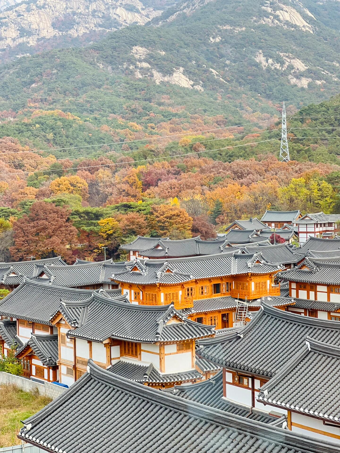
                        首爾金秋必打卡｜超治愈韓屋全景韓國的韓屋景色有很多，不過可以一覽眾山小、看到一整片韓屋的，真的只有這里了。特別是現在正好是看楓葉的??季節，直接上6樓，找個窗邊的位置，外面冷得要死，你在里面暖乎乎喝著咖啡吃著韓式年糕，太享受了（不要點茶類，好出片但是真的太甜了）。想拍照的寶寶們，窗邊都逆光，拍側面或者是背影就好，超有氣氛的。??1?1??? ??? ??? 534#韓國首爾探店 #韓國 #韓屋村 #韓屋 #韓國生活 #韓國約會 #韓國情侶約會打卡 #韓國約會圣地 #韓國旅行 #韓國咖啡店 #韓國咖啡廳 #韓國網紅店 #韓國網紅打卡地 #韓國網紅
