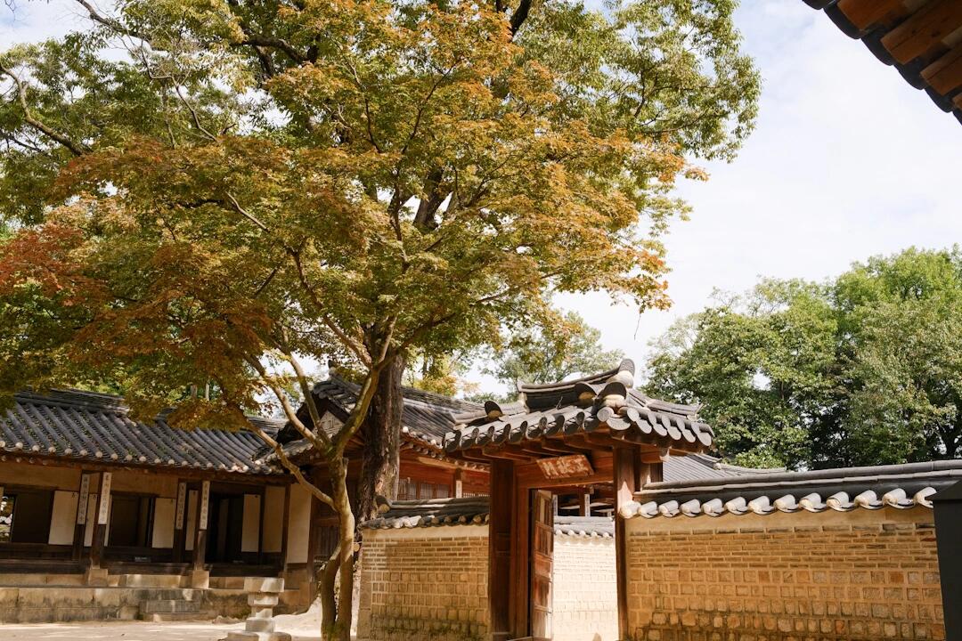 
                        來韓國旅游，別錯過昌德宮！??現在越來越多人選擇出國旅行，韓國的必打卡景點之一就是景福宮。然而，如果單論宮殿的美麗，我更推薦昌德宮。去過景福宮的朋友都知道，那里的游客非常多，而且很多地方是沙地。相比之下，昌德宮的游客相對較少，地面大多是石頭鋪成的，還有一個美麗的后苑。尤其是在秋天，黃葉飄落的時候，景色更加迷人。如果你穿上韓服在這里拍照，那就更不用說了，絕對是美照滿滿！??#韓國旅游 #昌德宮 #韓國旅行 #秋季旅行 #韓服體驗 #韓國必去景點